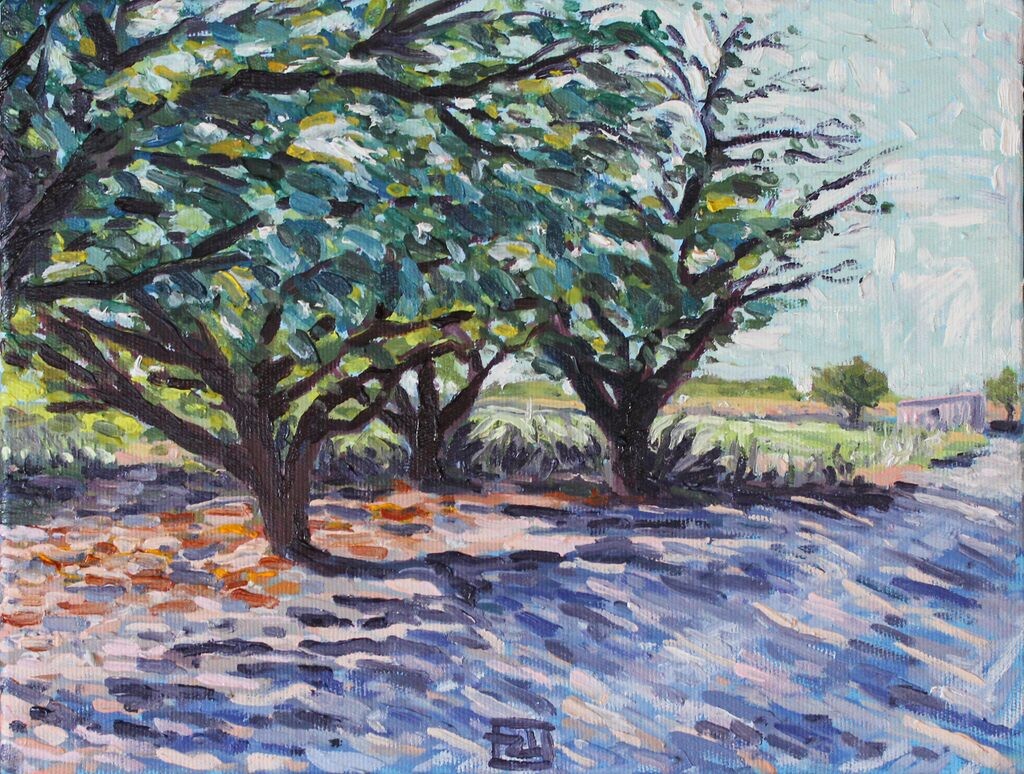 Yusuf Epcin, Shade of Apricot, Saraycik Yusuf Epcin, Shade of Apricot, Saraycik