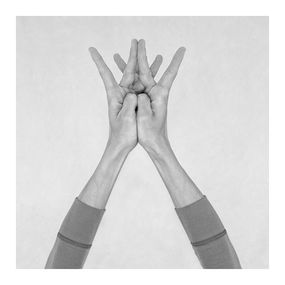 Photographie, Untitled XXVI. From the Series Chiromorphose, Nico Baixas / Gos-com-fuig