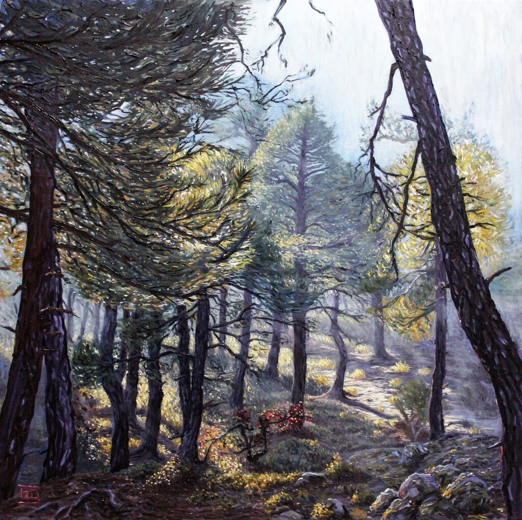 Yusuf Epcin, Misty Pine Forest Yusuf Epcin, Misty Pine Forest