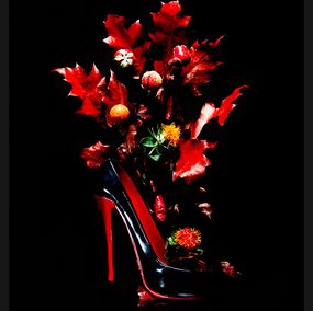 Fotografía, Houx ! La chaussure, Catherine Poinson