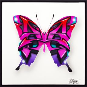 Gemälde, Urban butterfly 2 Aporia graffitis, Sylvain Lang