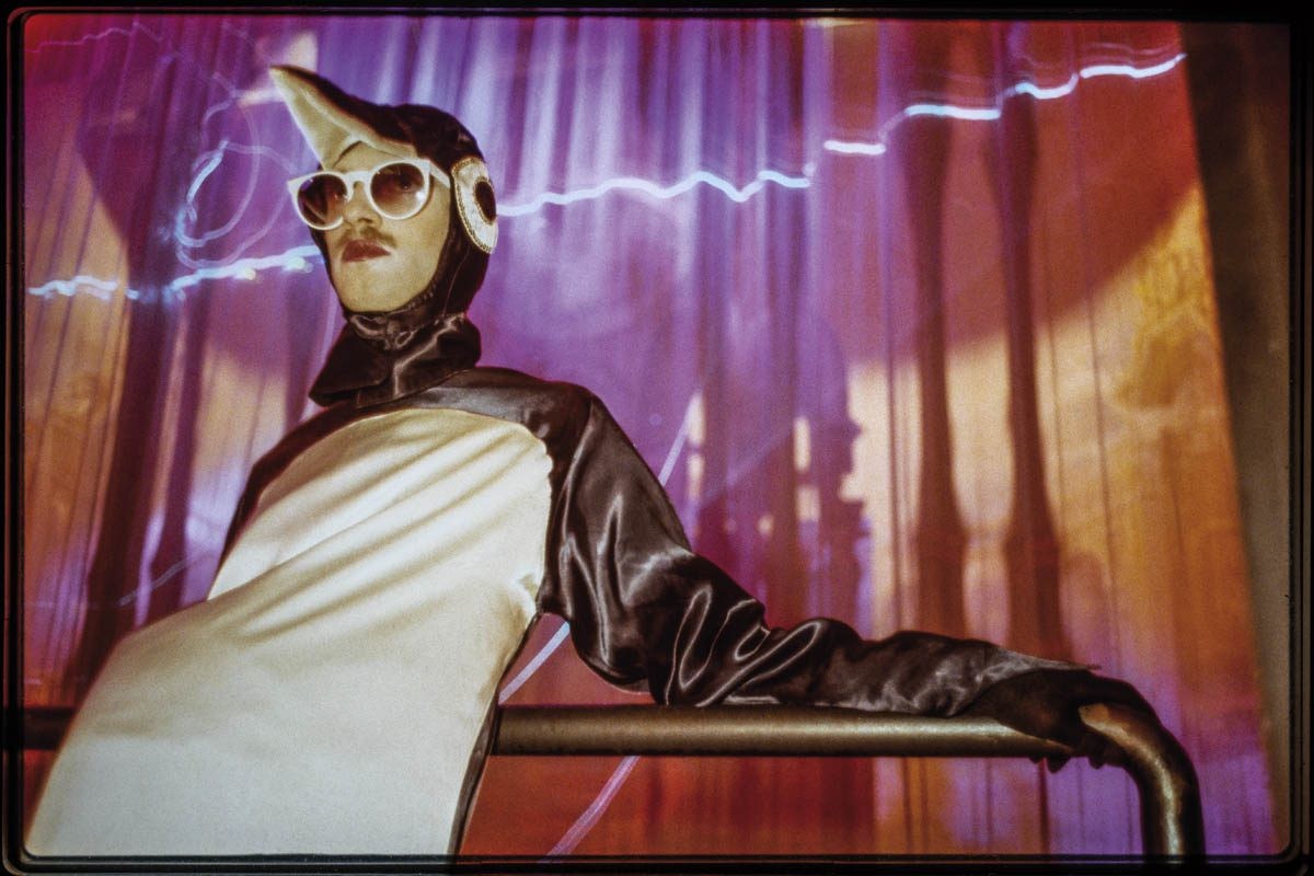 Arnaud Baumann, Pingouin de carnaval Arnaud Baumann, Pingouin de carnaval