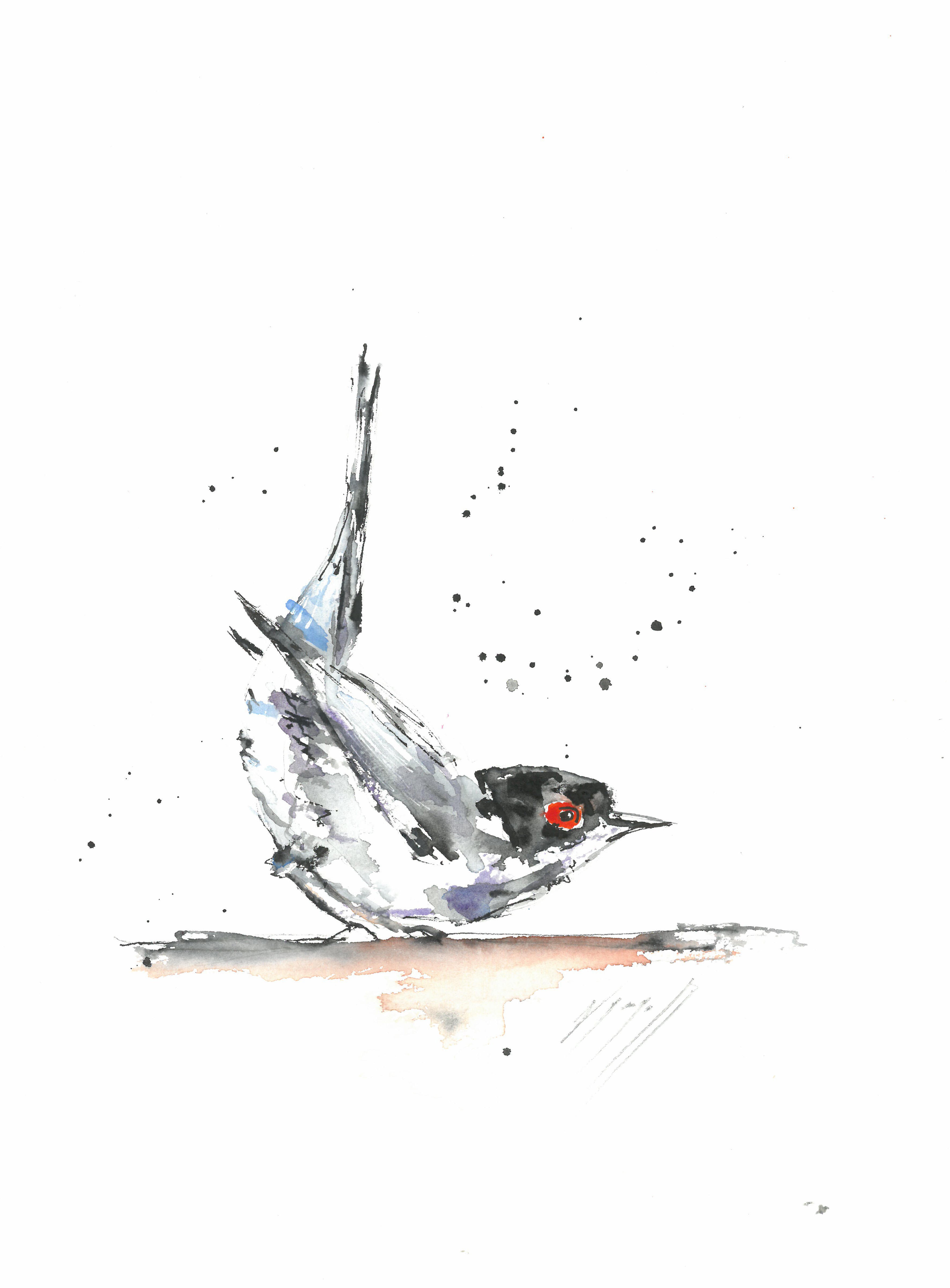 Noël Granger, L'oiseau à l'oeil rouge ! Noël Granger, L'oiseau à l'oeil rouge !