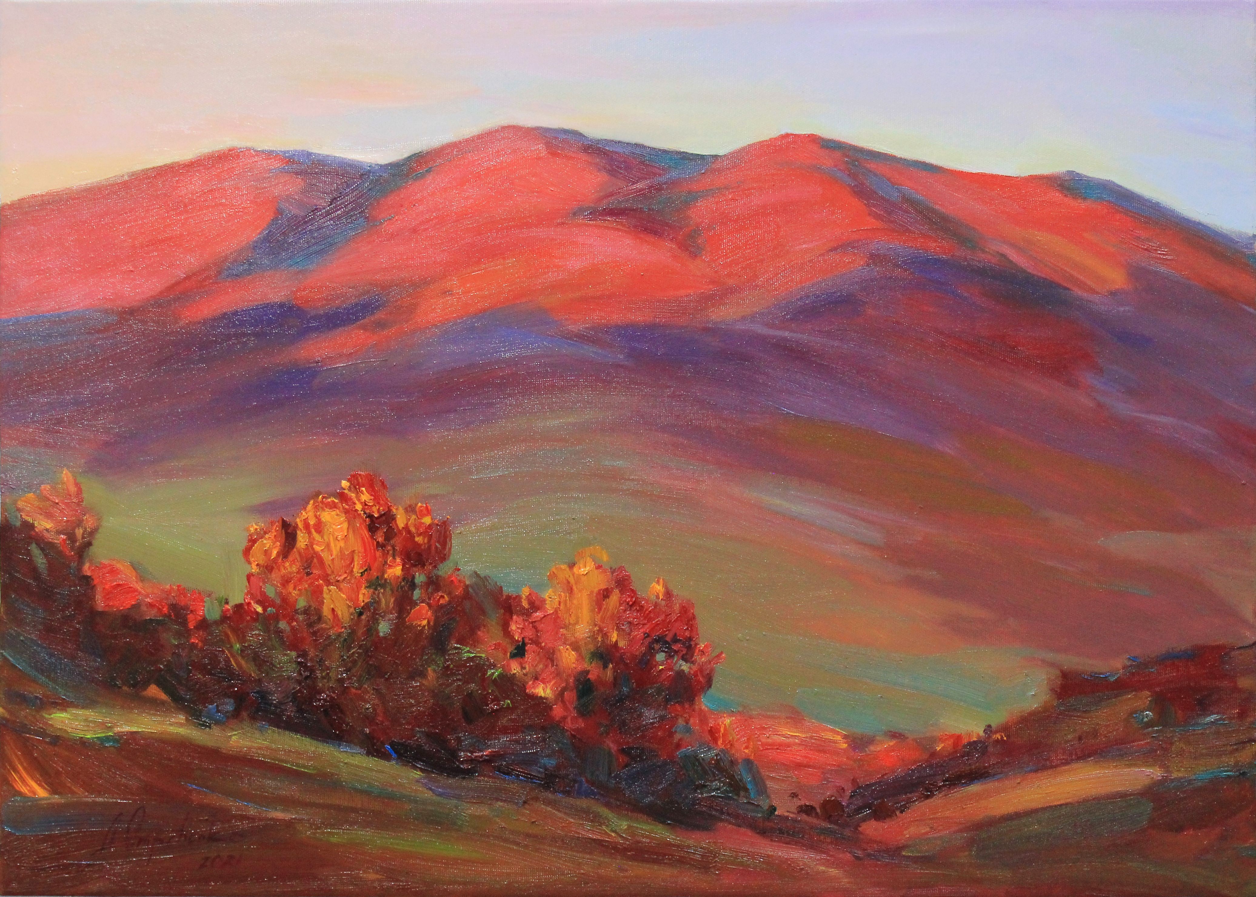 Alisa Onipchenko-Cherniakovska, In the rays of the sunset Alisa Onipchenko-Cherniakovska, In the rays of the sunset