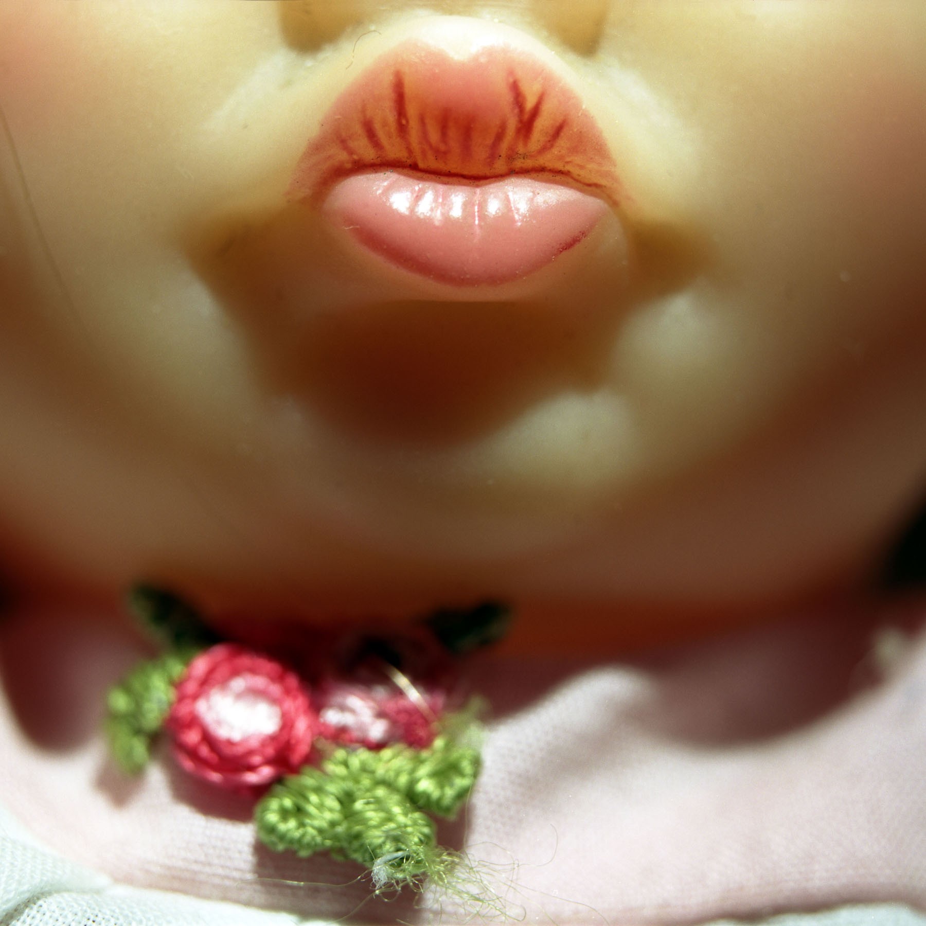 Diana Thorneycroft, Doll mouth (pout) Diana Thorneycroft, Doll mouth (pout)