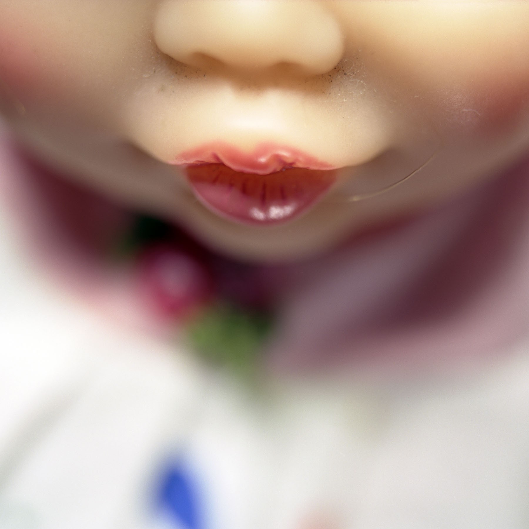 Diana Thorneycroft, Doll mouth (rose) Diana Thorneycroft, Doll mouth (rose)