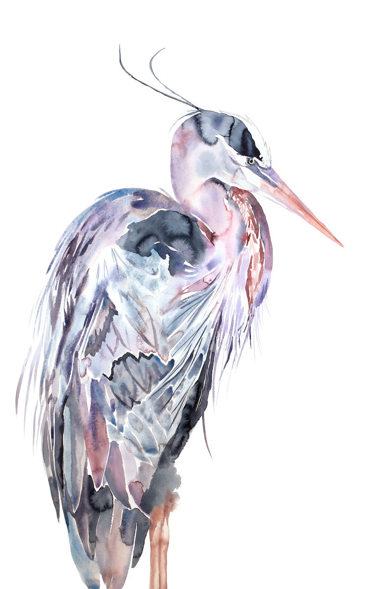 Elizabeth Becker, Heron no. 25 Elizabeth Becker, Heron no. 25