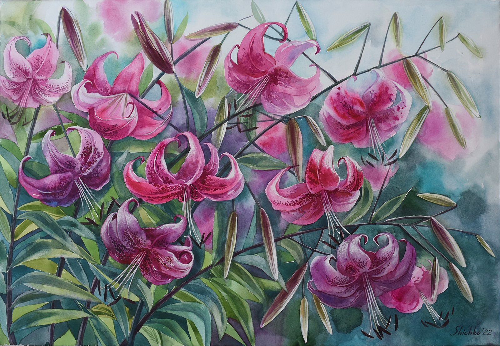 Elena Shichko, Lilies from my garden Elena Shichko, Lilies from my garden
