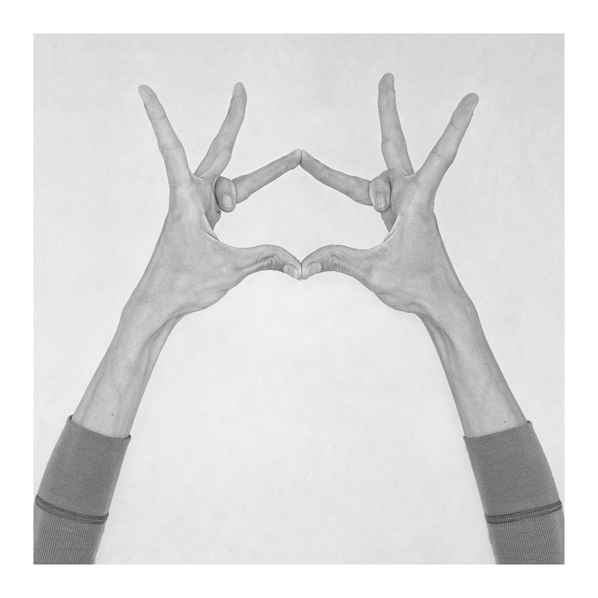 Nico Baixas / Gos-com-fuig, Untitled XXVII. From the series Chiromorphose Nico Baixas / Gos-com-fuig, Untitled XXVII. From the series Chiromorphose