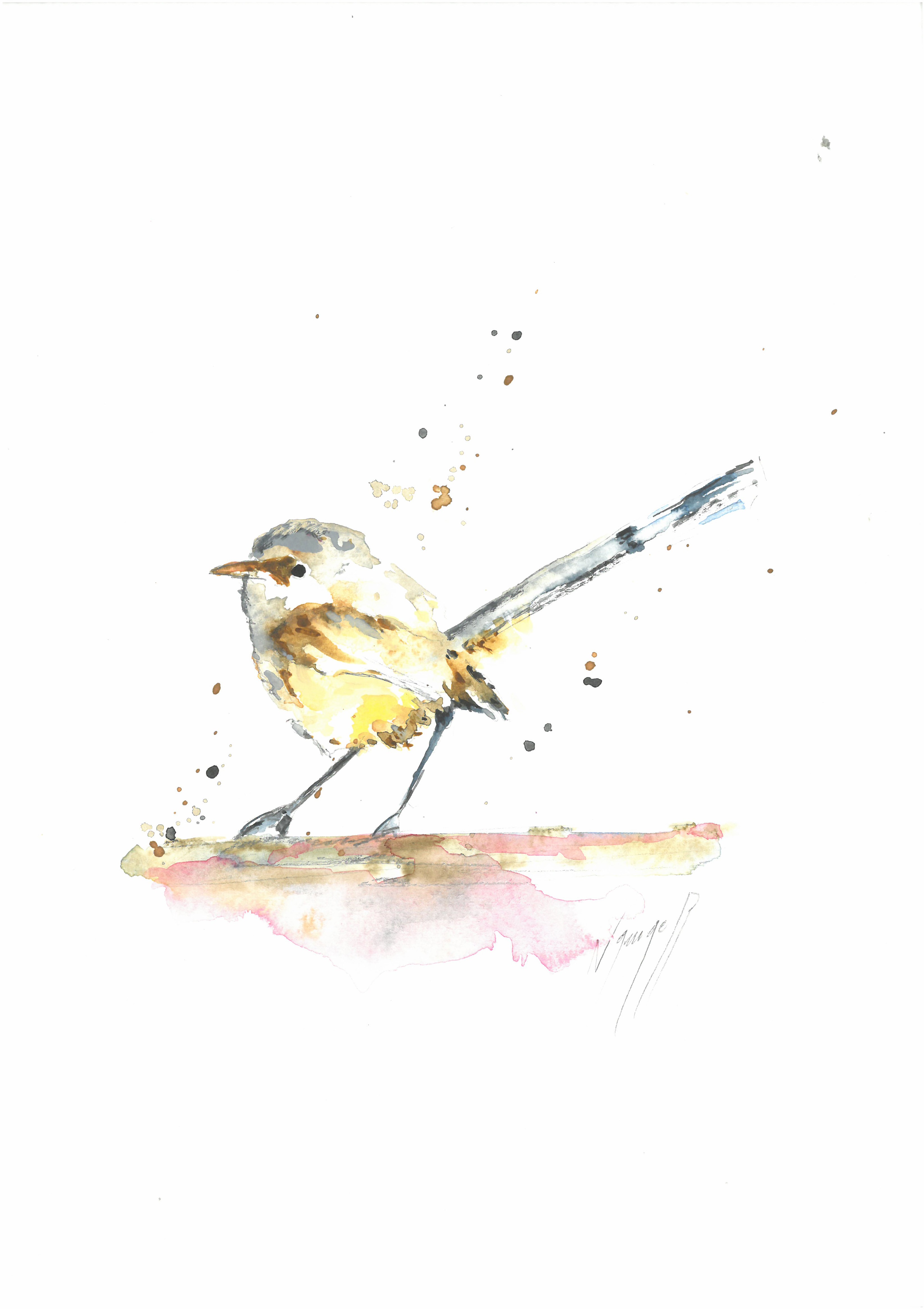 Noël Granger, L'oiseau du jardin ! Noël Granger, L'oiseau du jardin !