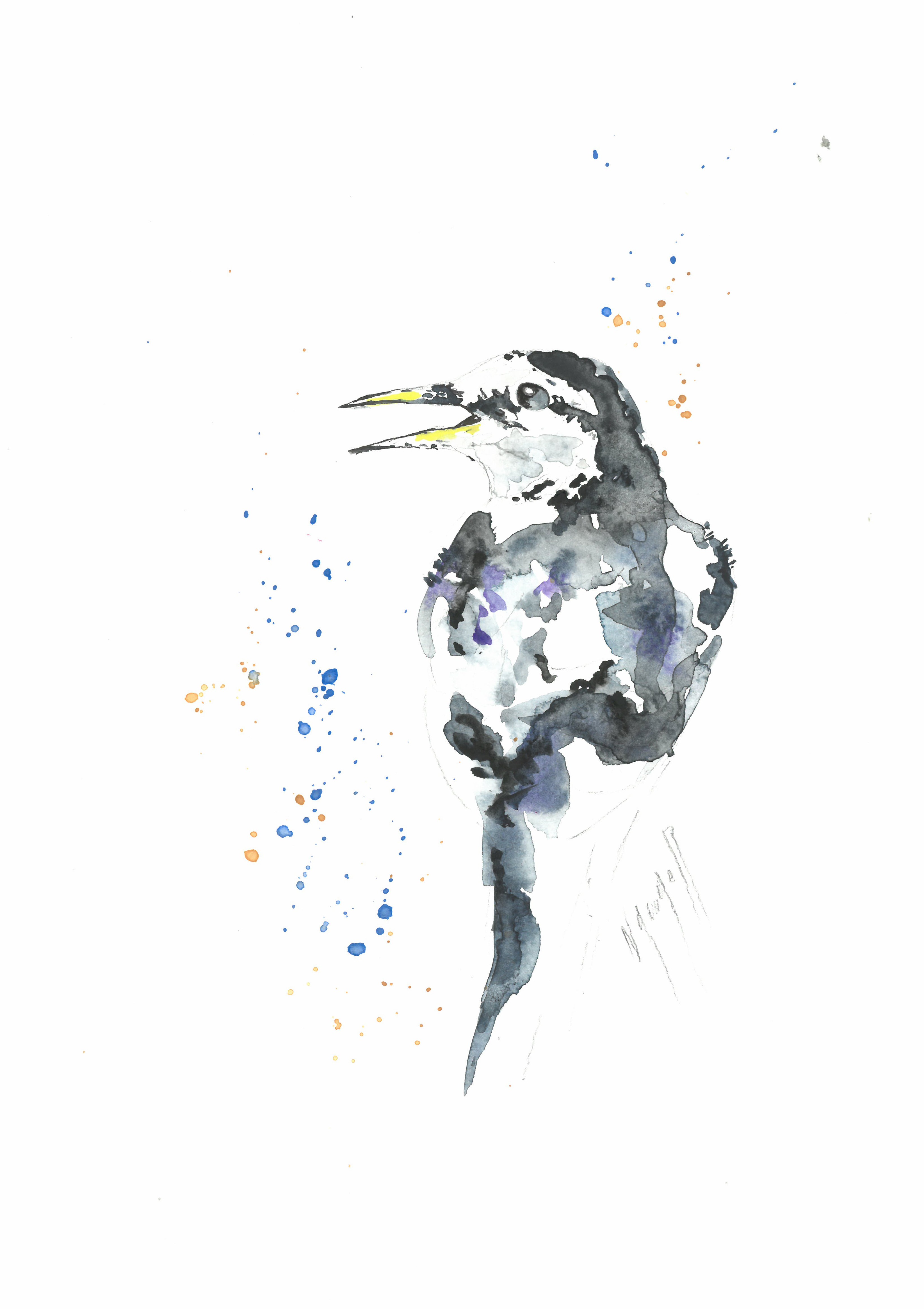 Noël Granger, L'oiseau au grand bec ! Noël Granger, L'oiseau au grand bec !