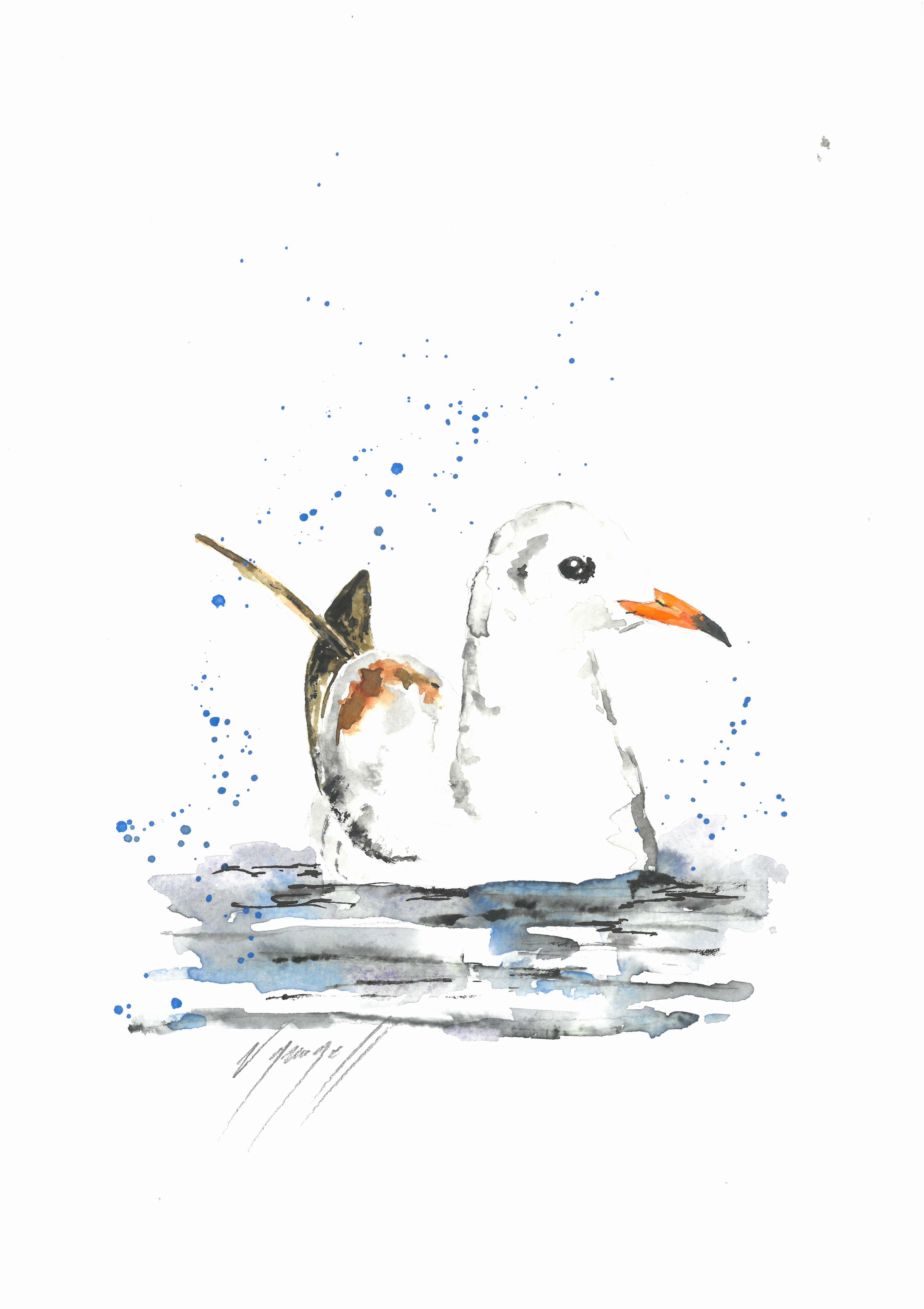 Noël Granger, La mouette ! Noël Granger, La mouette !