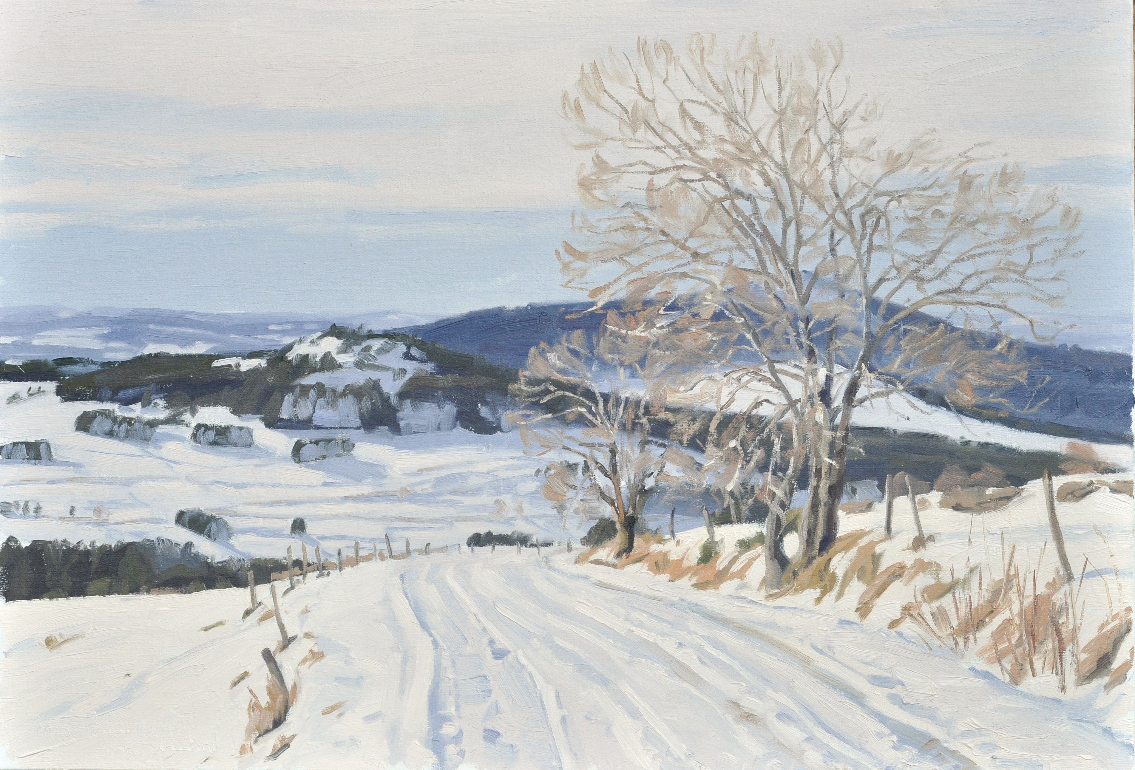 Anne Baudequin, December 11, snowy path in Mézenc Anne Baudequin, December 11, snowy path in Mézenc