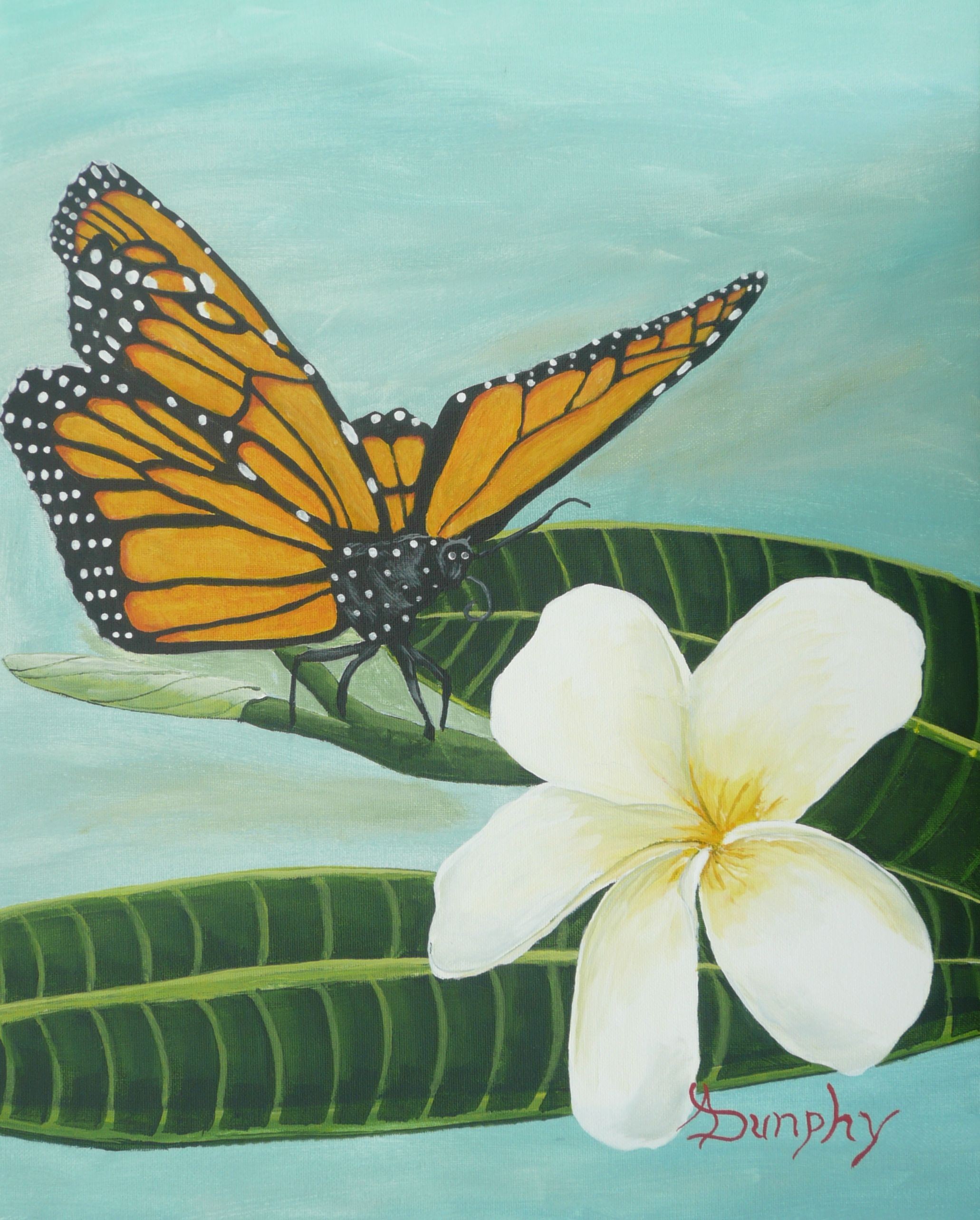 Anthony Dunphy, Monarch Anthony Dunphy, Monarch