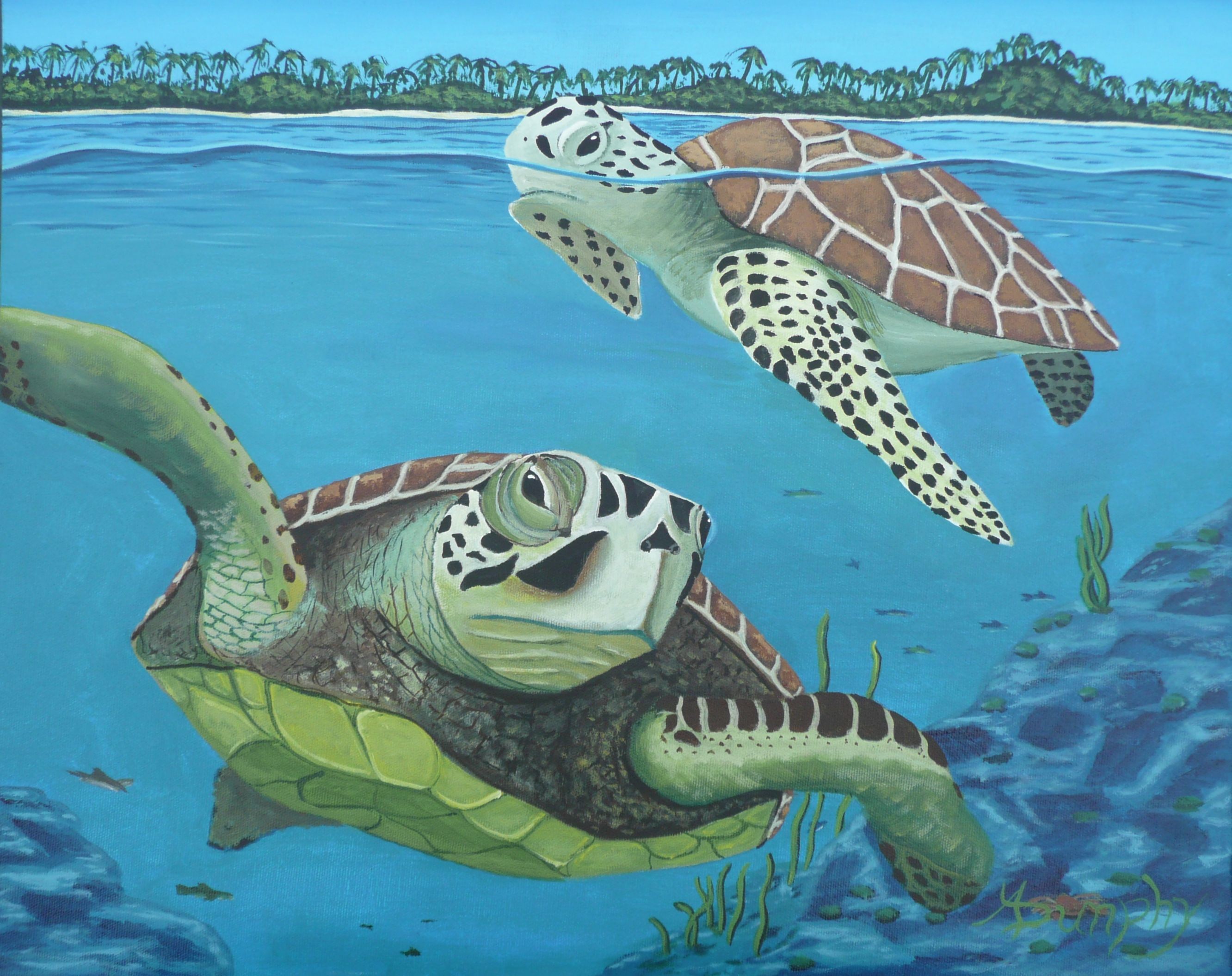 Anthony Dunphy, Sea Turtles Anthony Dunphy, Sea Turtles