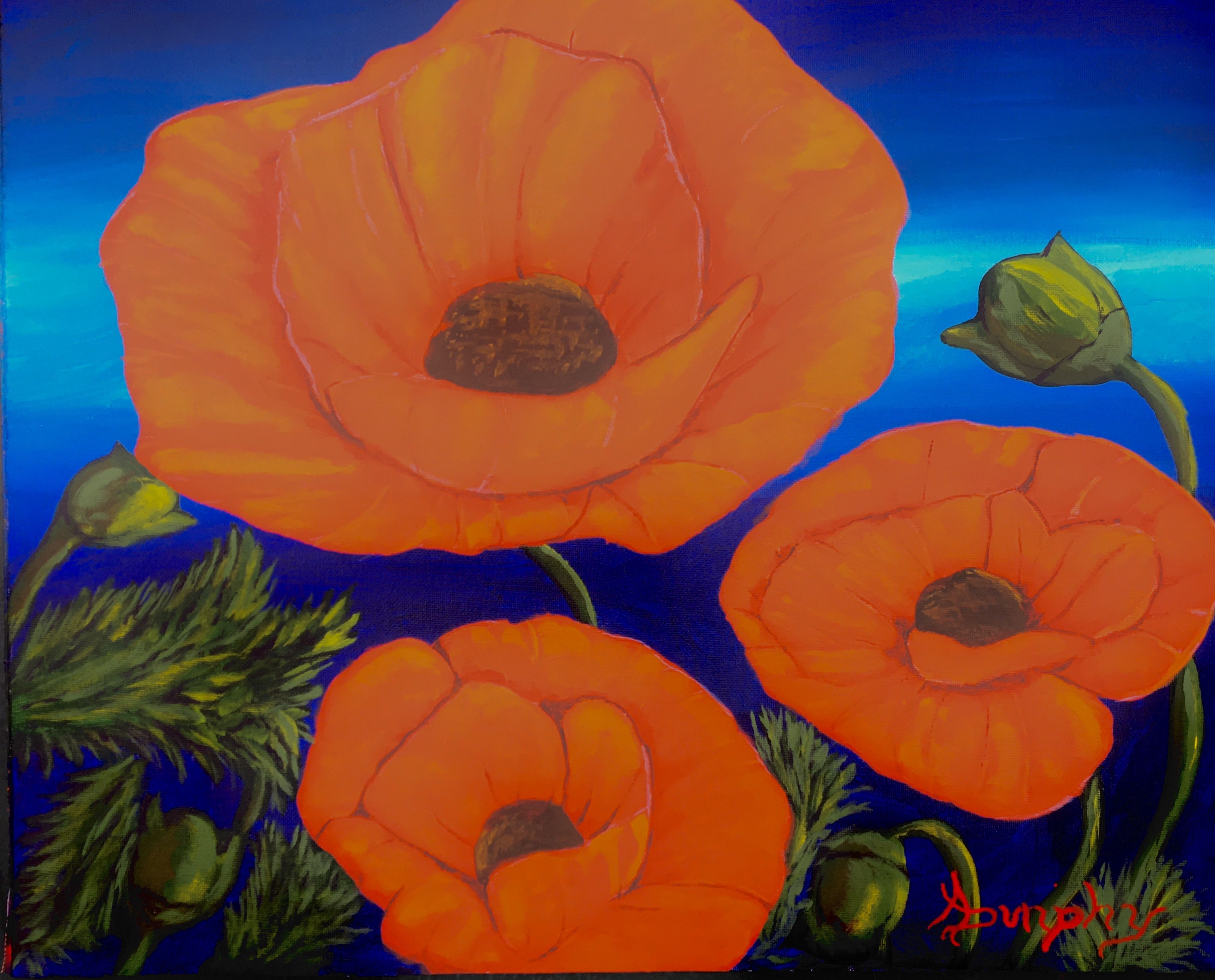 Anthony Dunphy, Poppies Anthony Dunphy, Poppies
