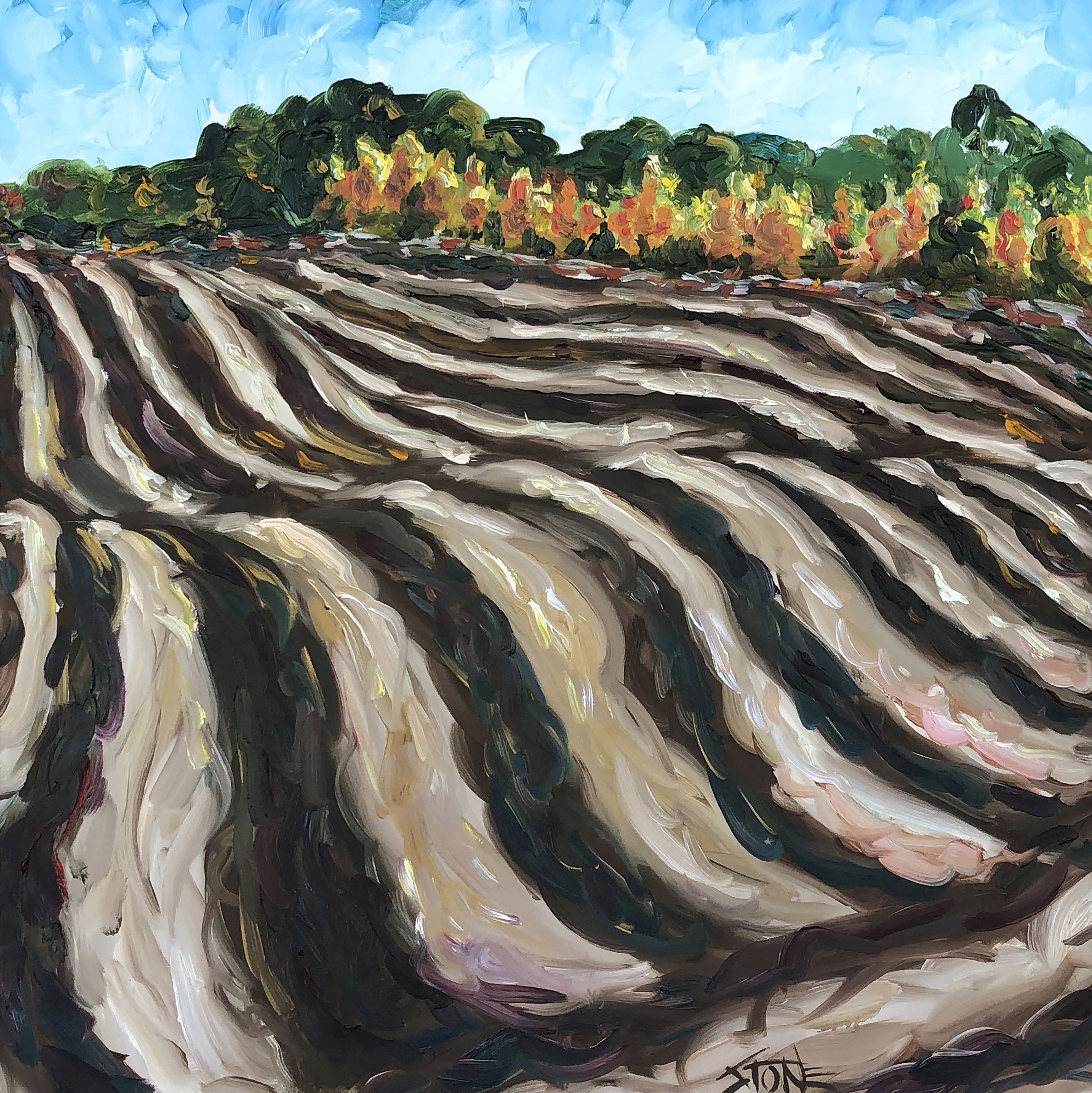 Bill Stone, Furrows Bill Stone, Furrows