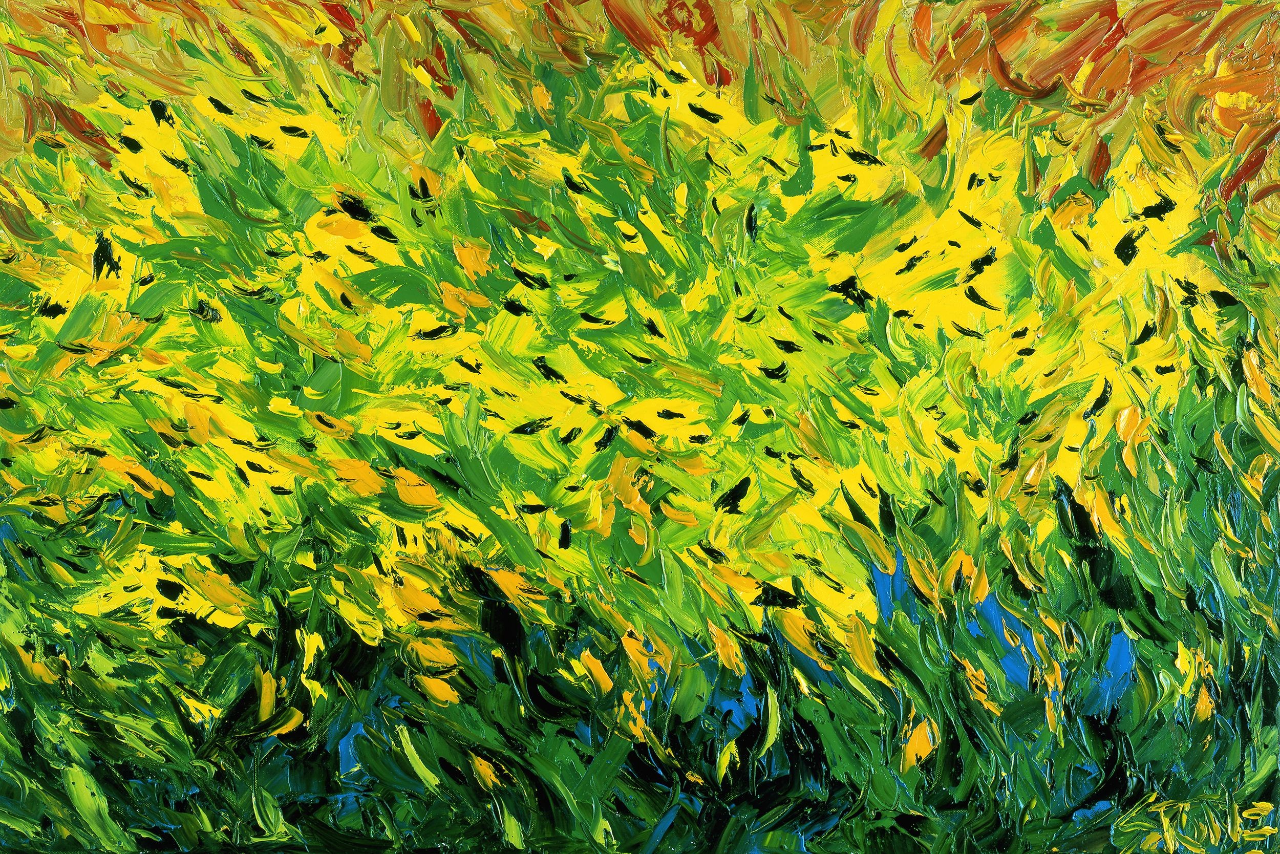 Bill Stone, Susan's garden Bill Stone, Susan's garden