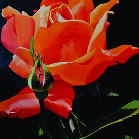 Gemälde, My Tangerine Rose, Bob Arrigo