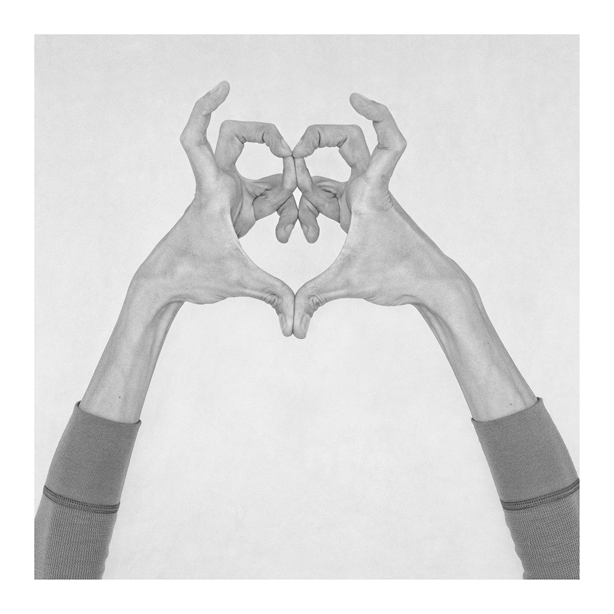 Nico Baixas / Gos-com-fuig, Untitled XXVIII. From the series chiromorph Nico Baixas / Gos-com-fuig, Untitled XXVIII. From the series chiromorph