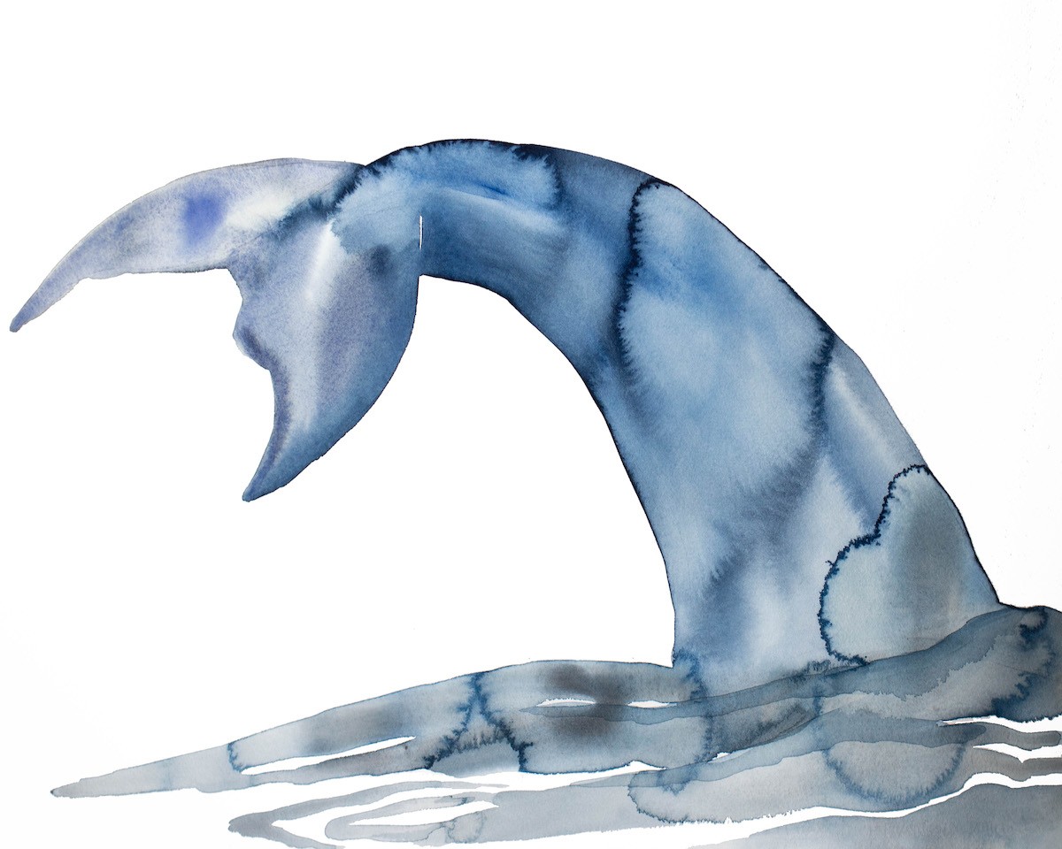 Elizabeth Becker, Whale no. 6 Elizabeth Becker, Whale no. 6