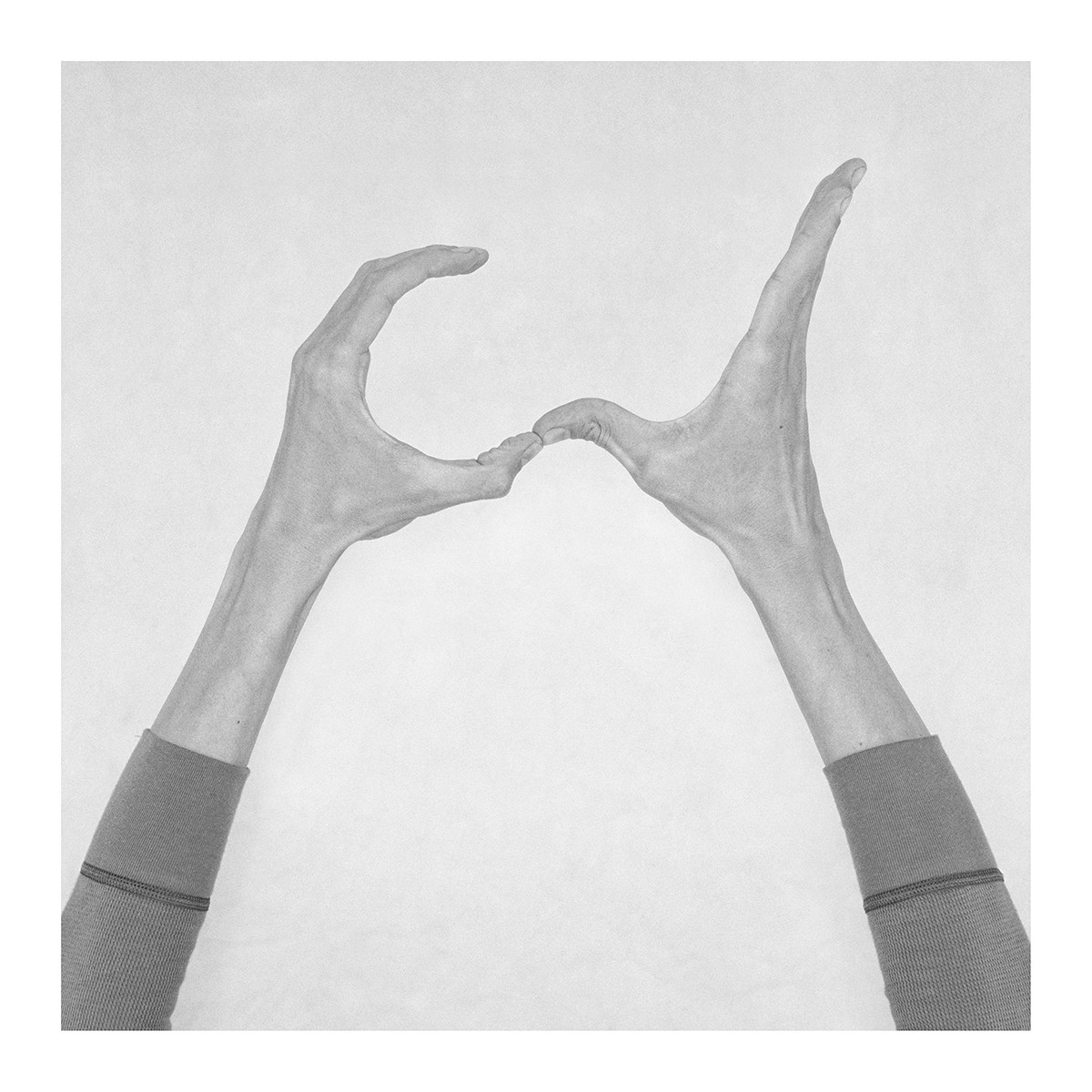 Nico Baixas / Gos-com-fuig, Untitled XXXI. From the Series Chiromorphose Nico Baixas / Gos-com-fuig, Untitled XXXI. From the Series Chiromorphose