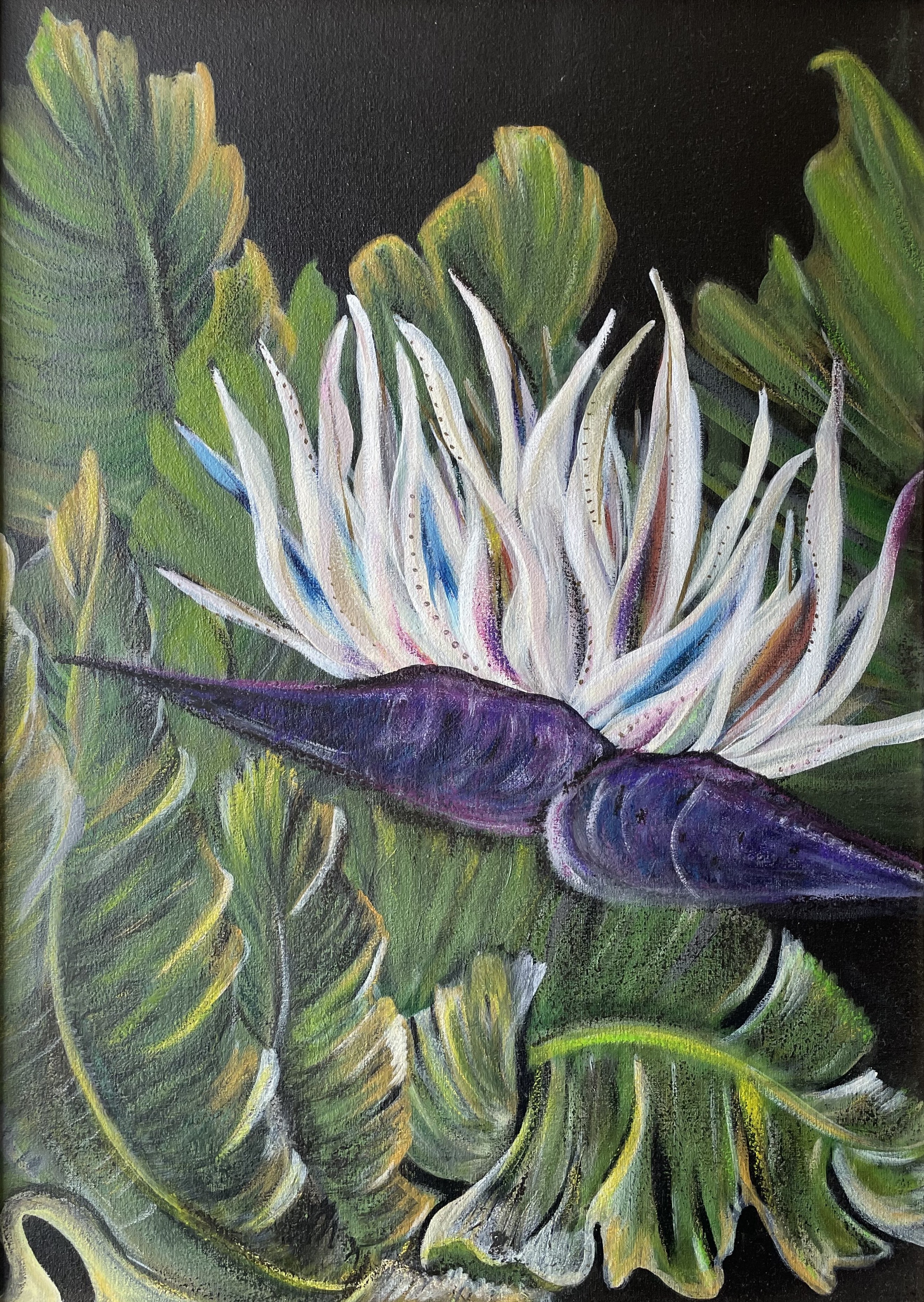 Maia Kvatchadze, Bird Of Paradise Maia Kvatchadze, Bird Of Paradise