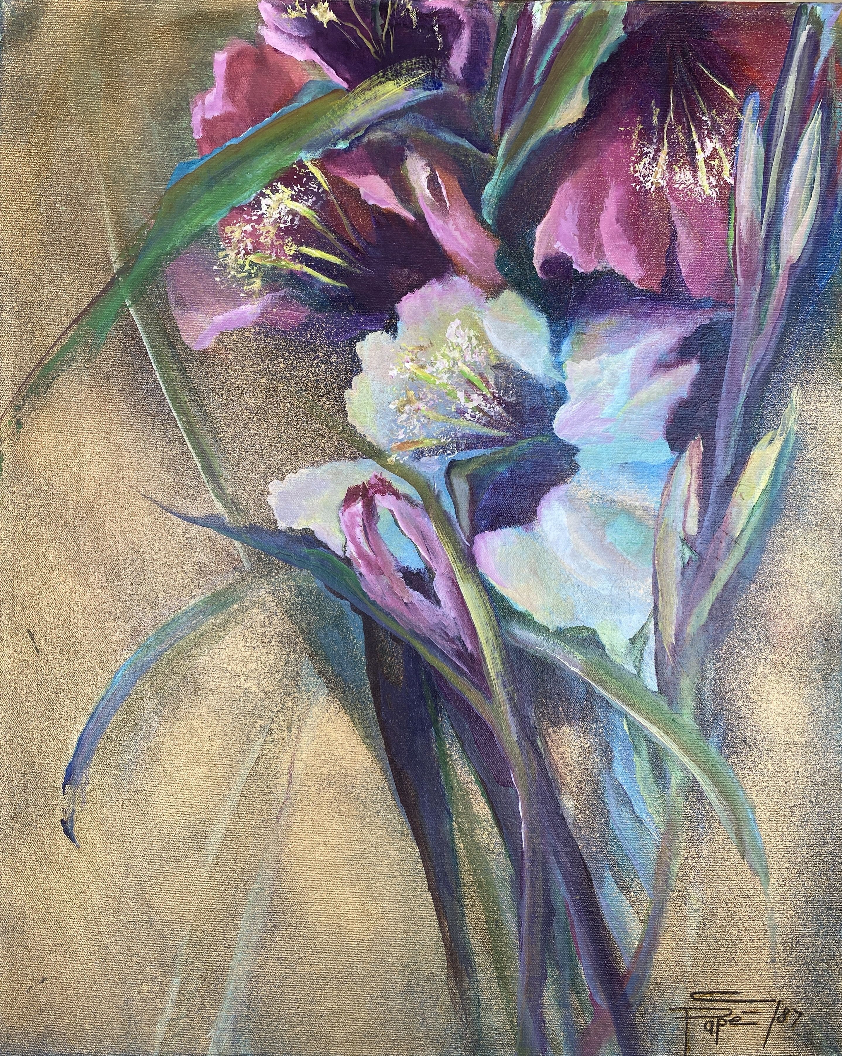 Christiane Papé, Gladiola Christiane Papé, Gladiola