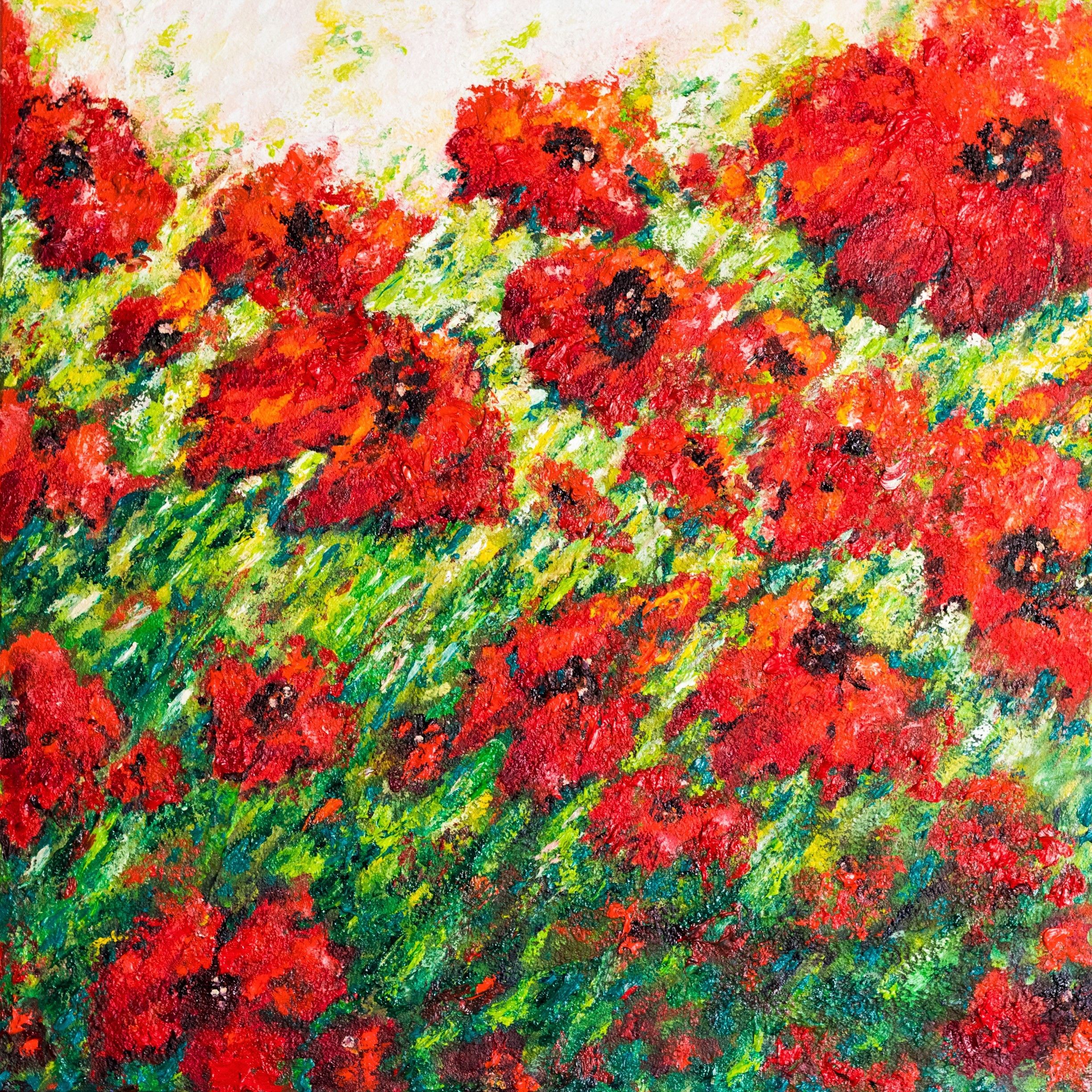 Cristina Stefan, The red poppies of Spain Cristina Stefan, The red poppies of Spain
