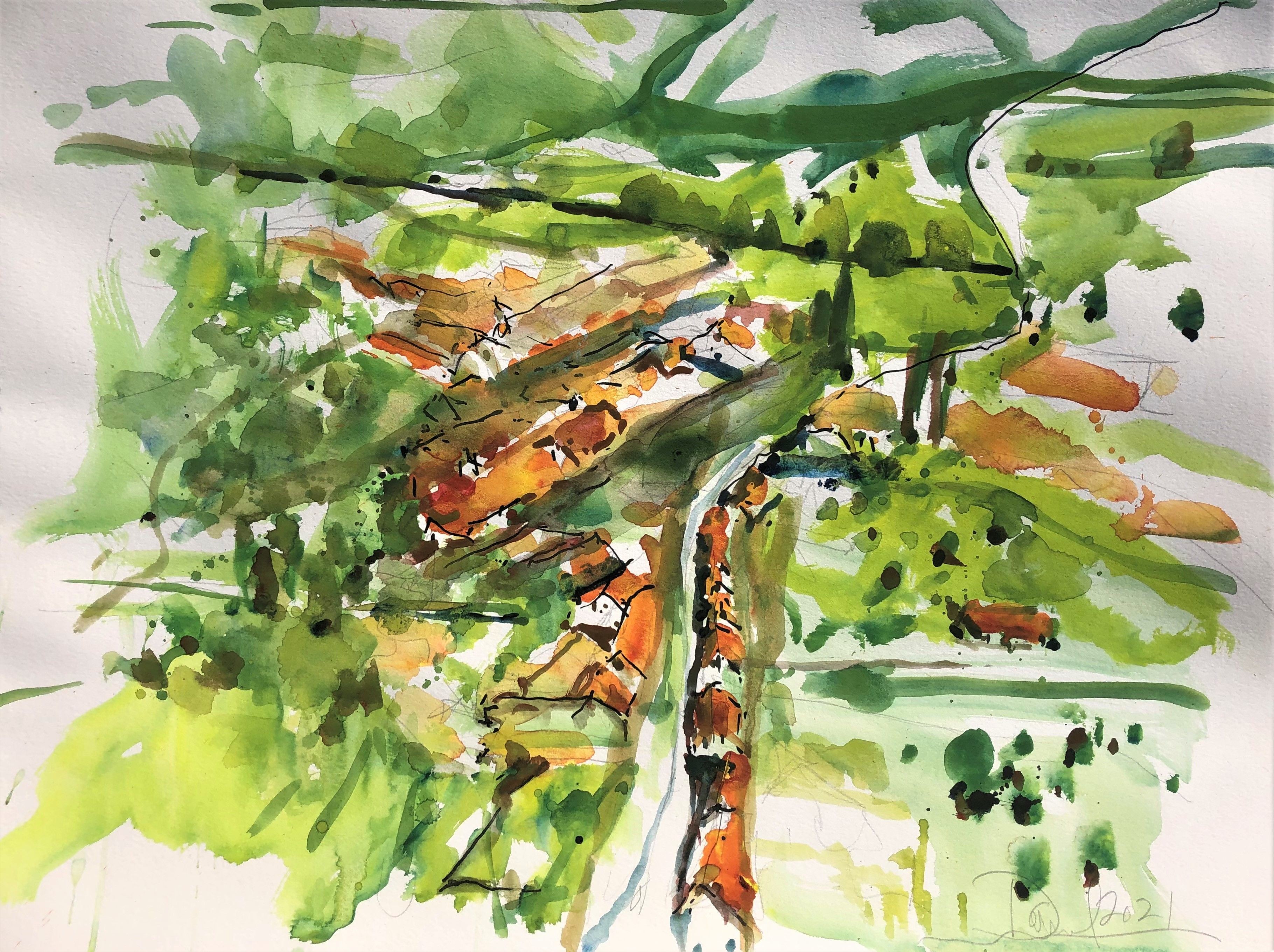 Daniel Clarke, Swiss Village Daniel Clarke, Swiss Village