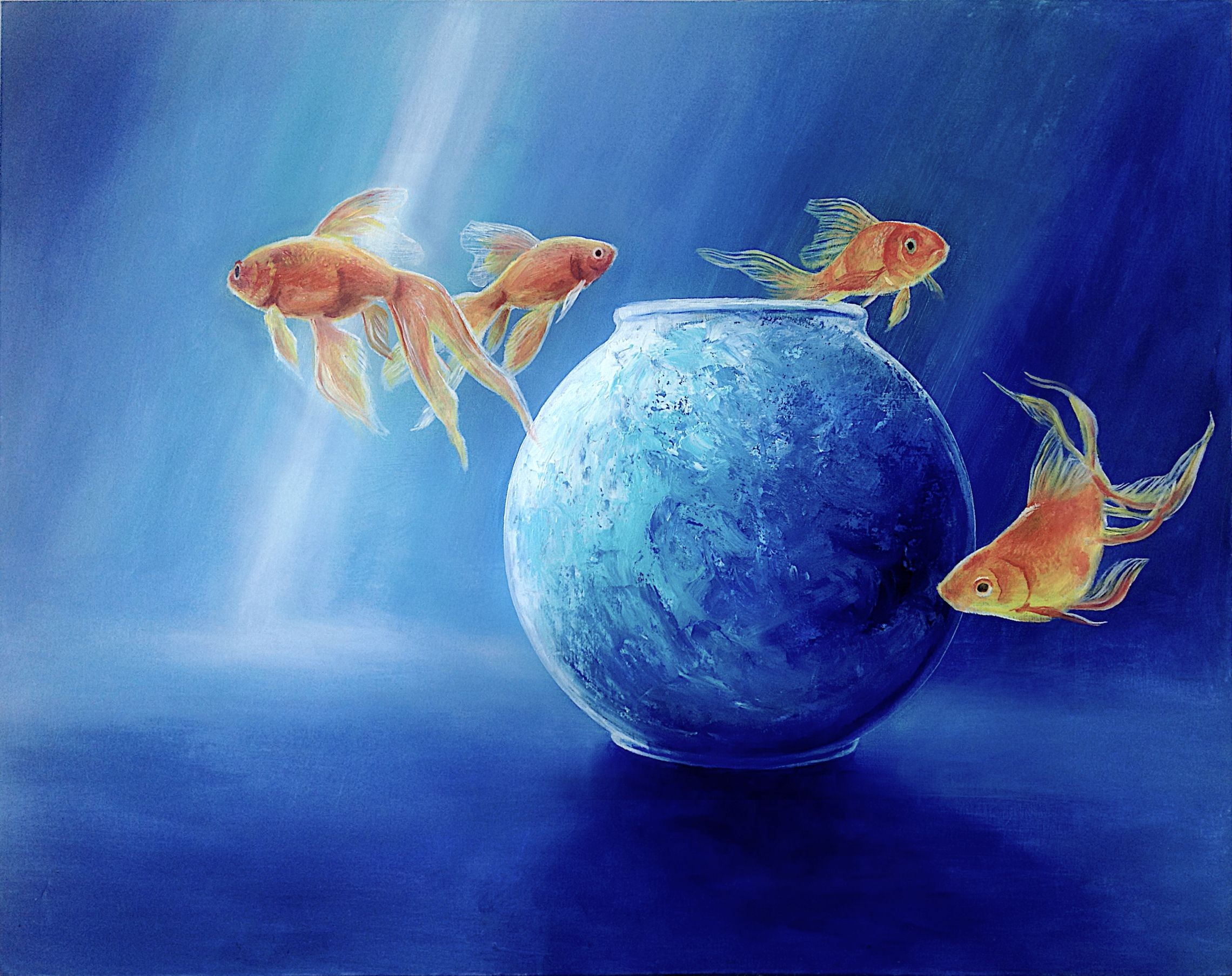 Daniel Loveday, Goldfish XLIII Daniel Loveday, Goldfish XLIII