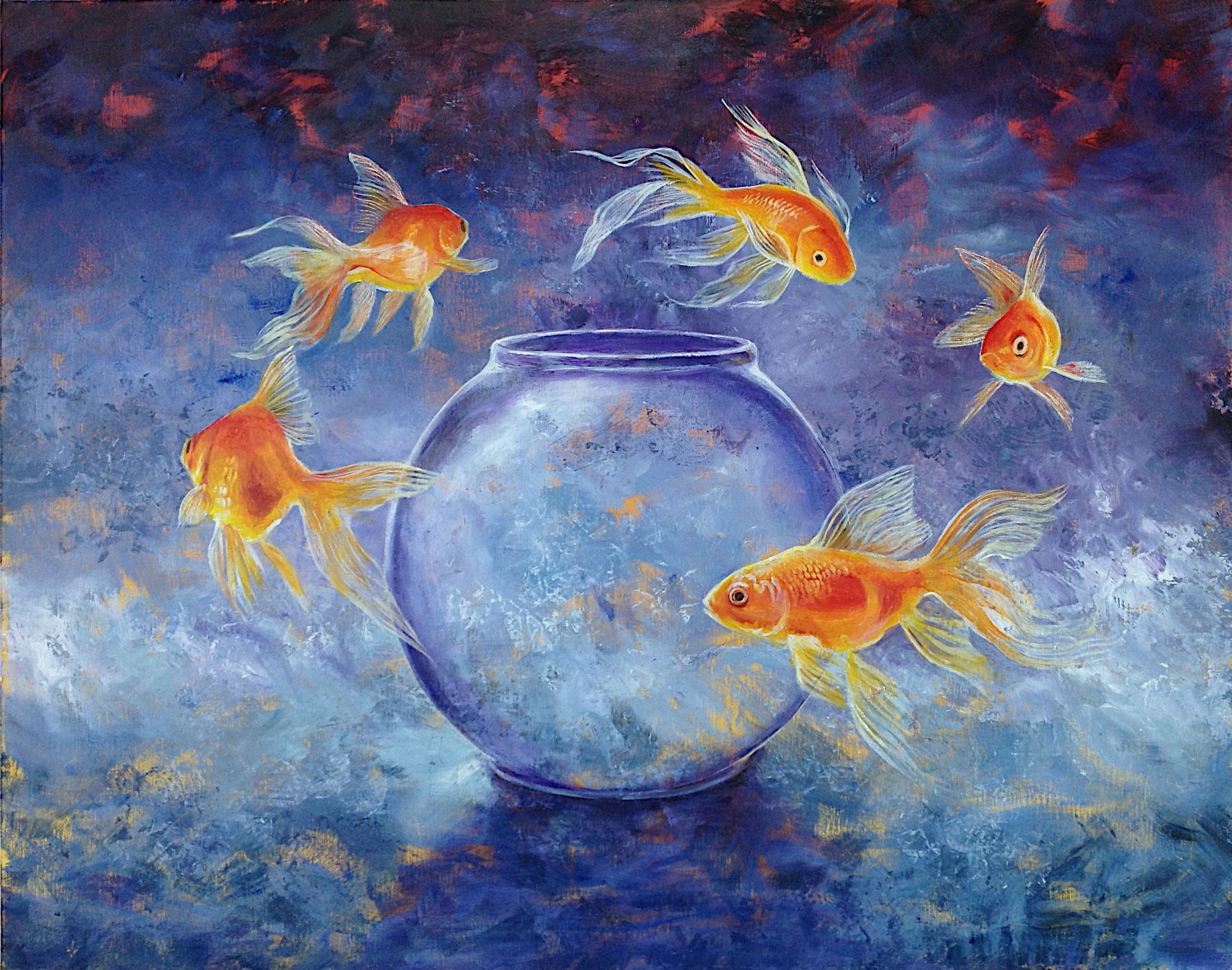 Daniel Loveday, Goldfish XLII Daniel Loveday, Goldfish XLII