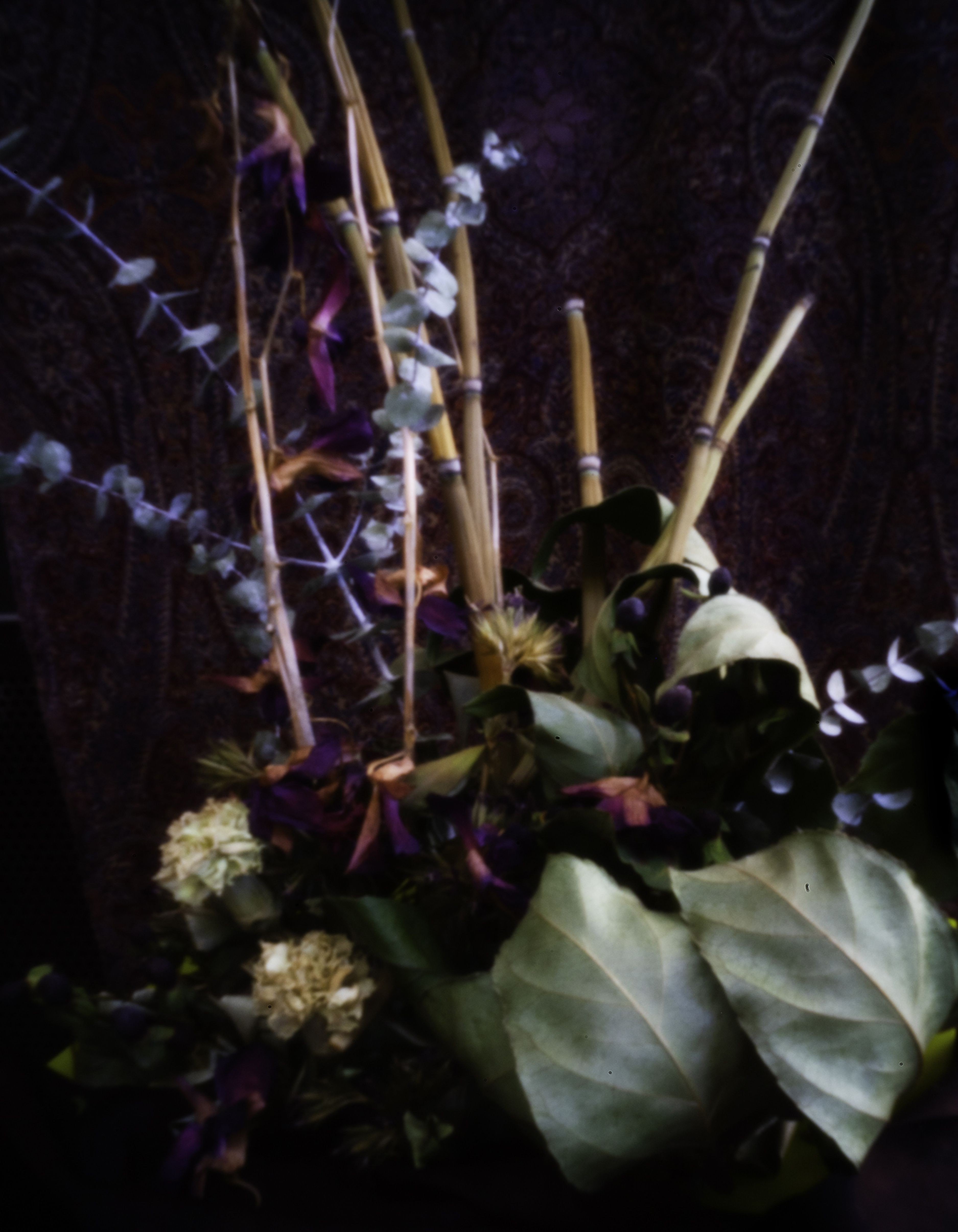 David Mccrae, Dried Bouquet David Mccrae, Dried Bouquet