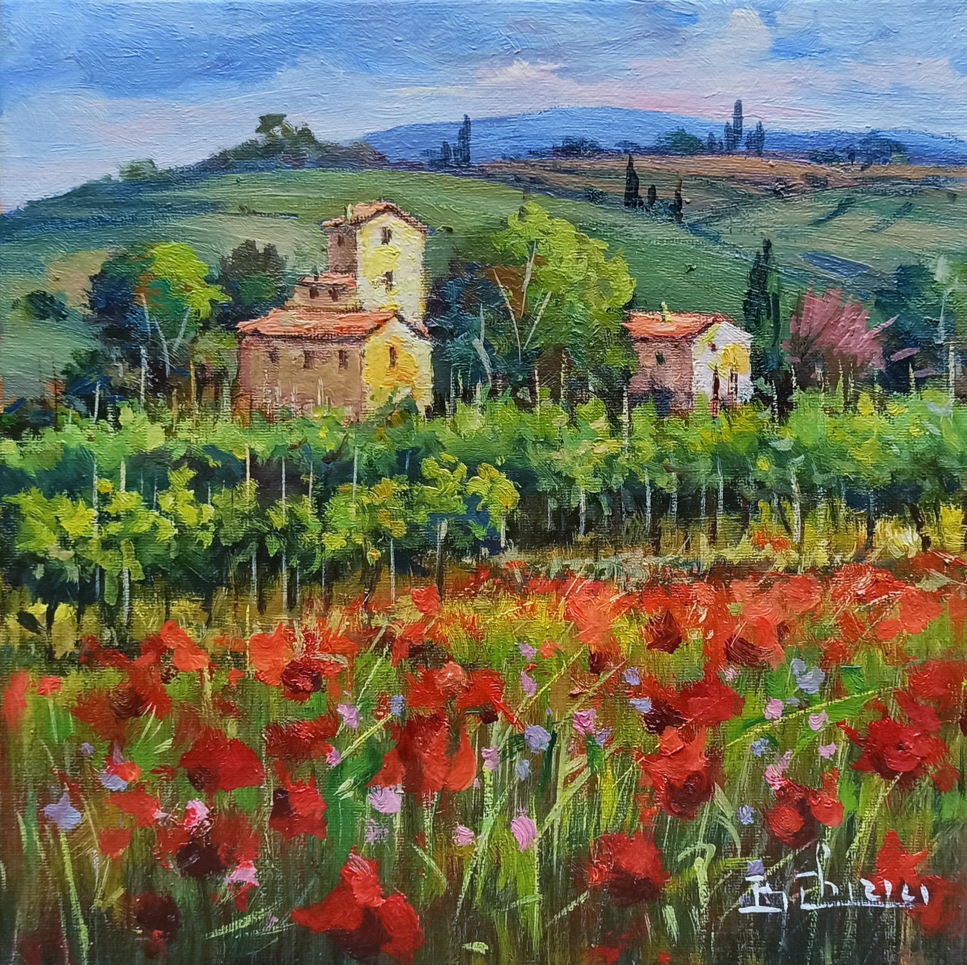 Bruno Chirici, Vineyard blooming in summer - Tuscany painting landscape Bruno Chirici, Vineyard blooming in summer - Tuscany painting landscape