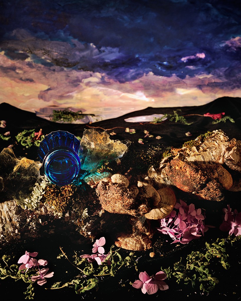 Holly King, Floral dusk Holly King, Floral dusk