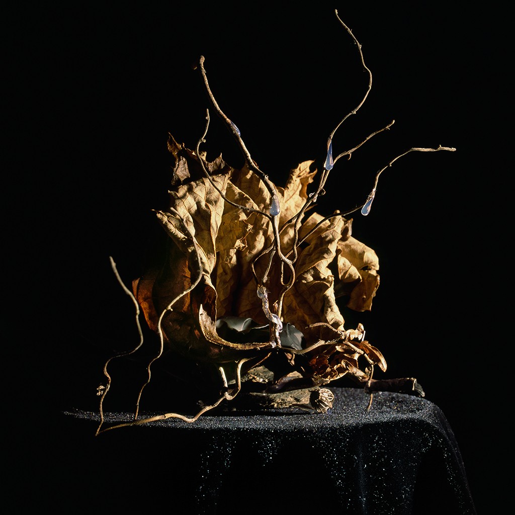 Holly King, Still life #1 Holly King, Still life #1