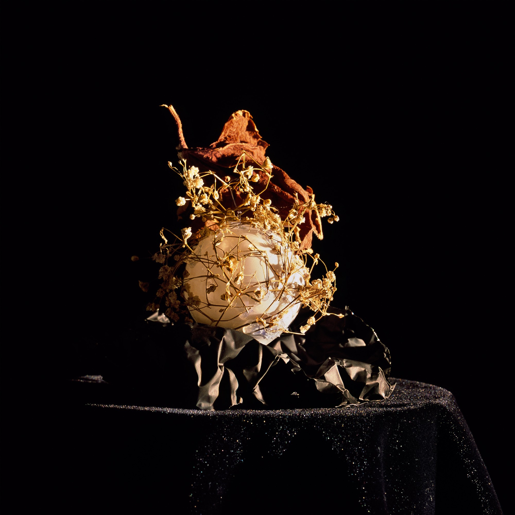 Holly King, Still life #2 Holly King, Still life #2