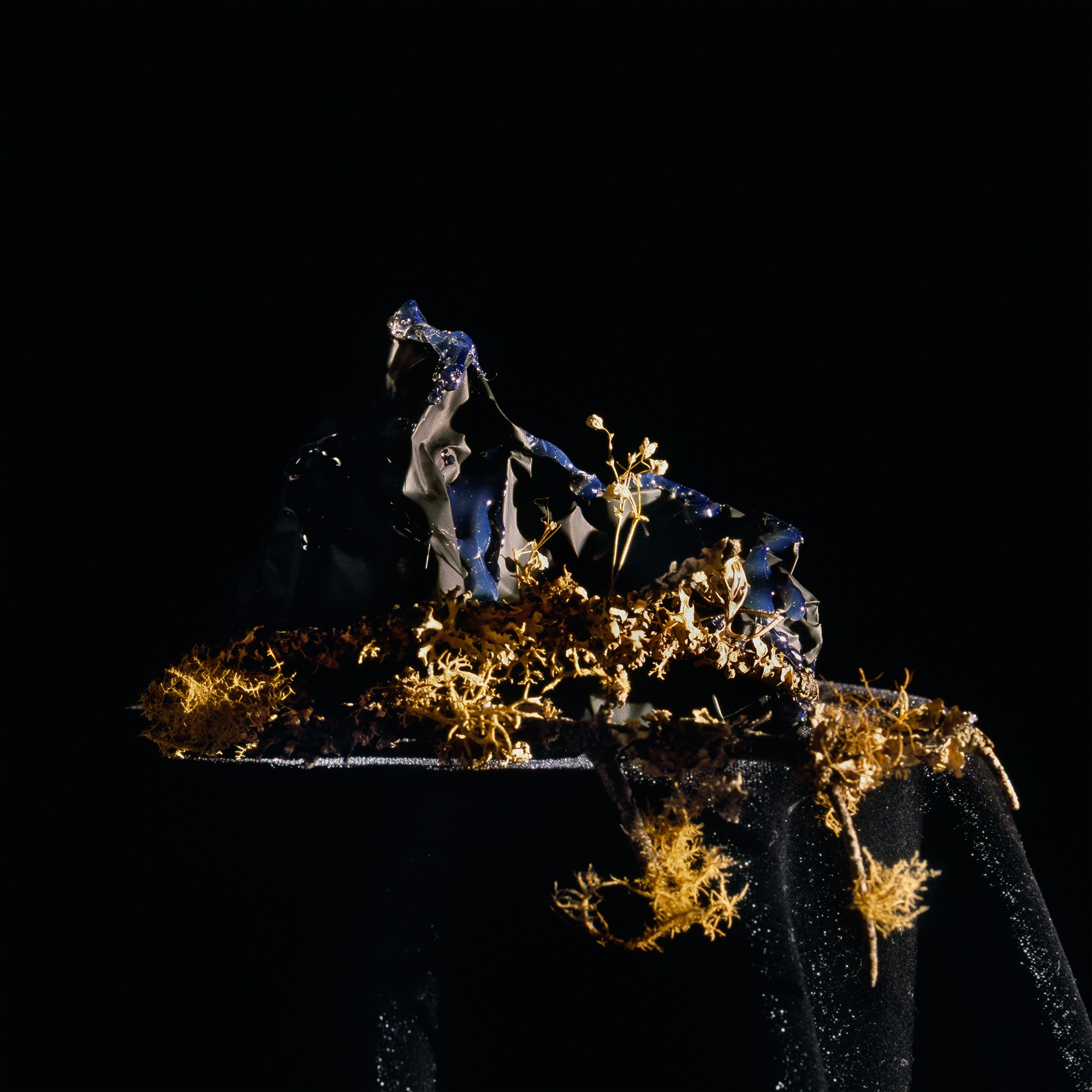 Holly King, Still life #3 Holly King, Still life #3