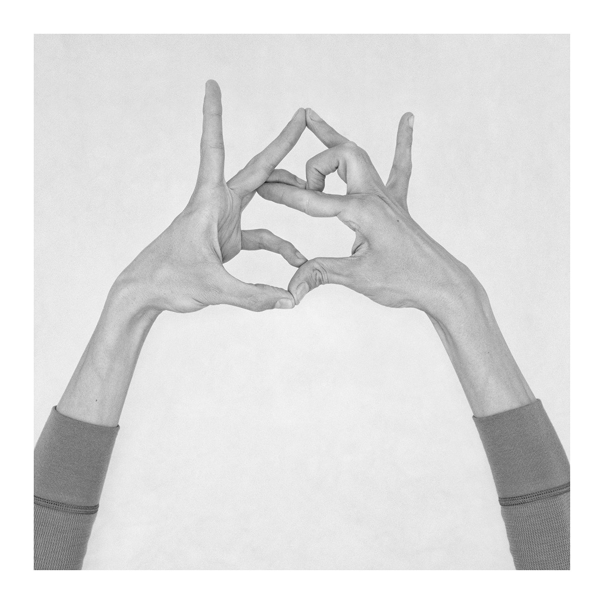 Nico Baixas / Gos-com-fuig, Untitled XXXV. From the series chiromorphose Nico Baixas / Gos-com-fuig, Untitled XXXV. From the series chiromorphose