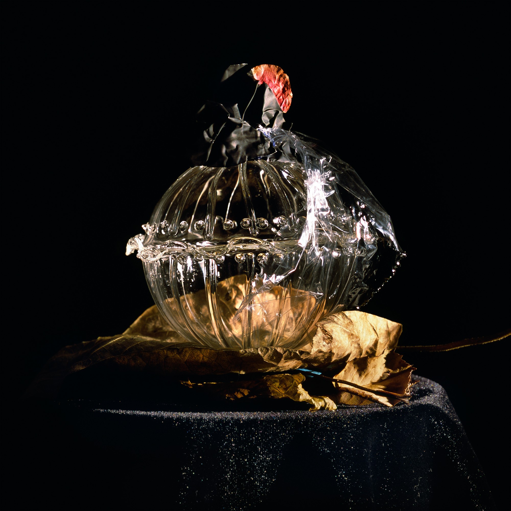 Holly King, Still life #4 Holly King, Still life #4