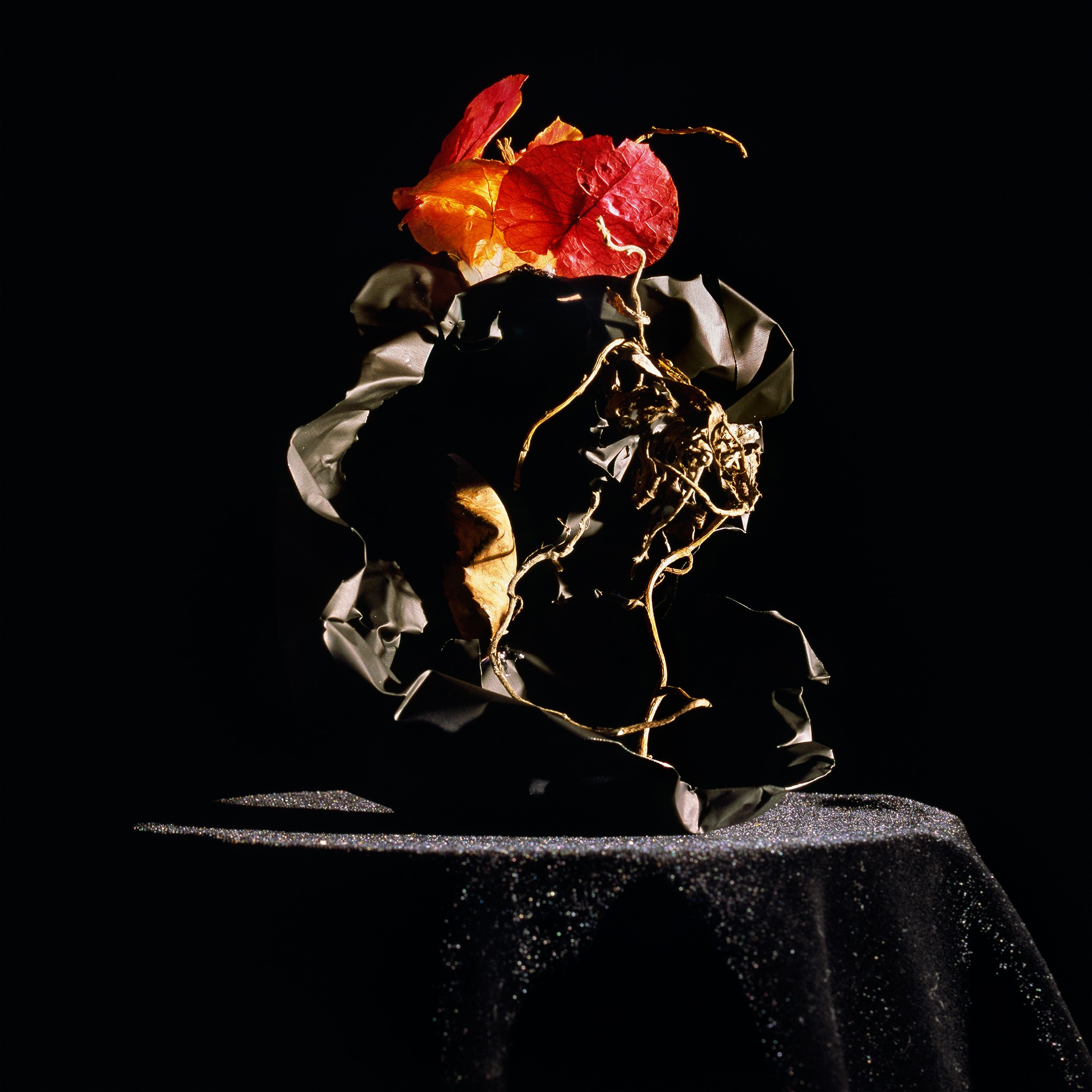 Holly King, Still life #5 Holly King, Still life #5