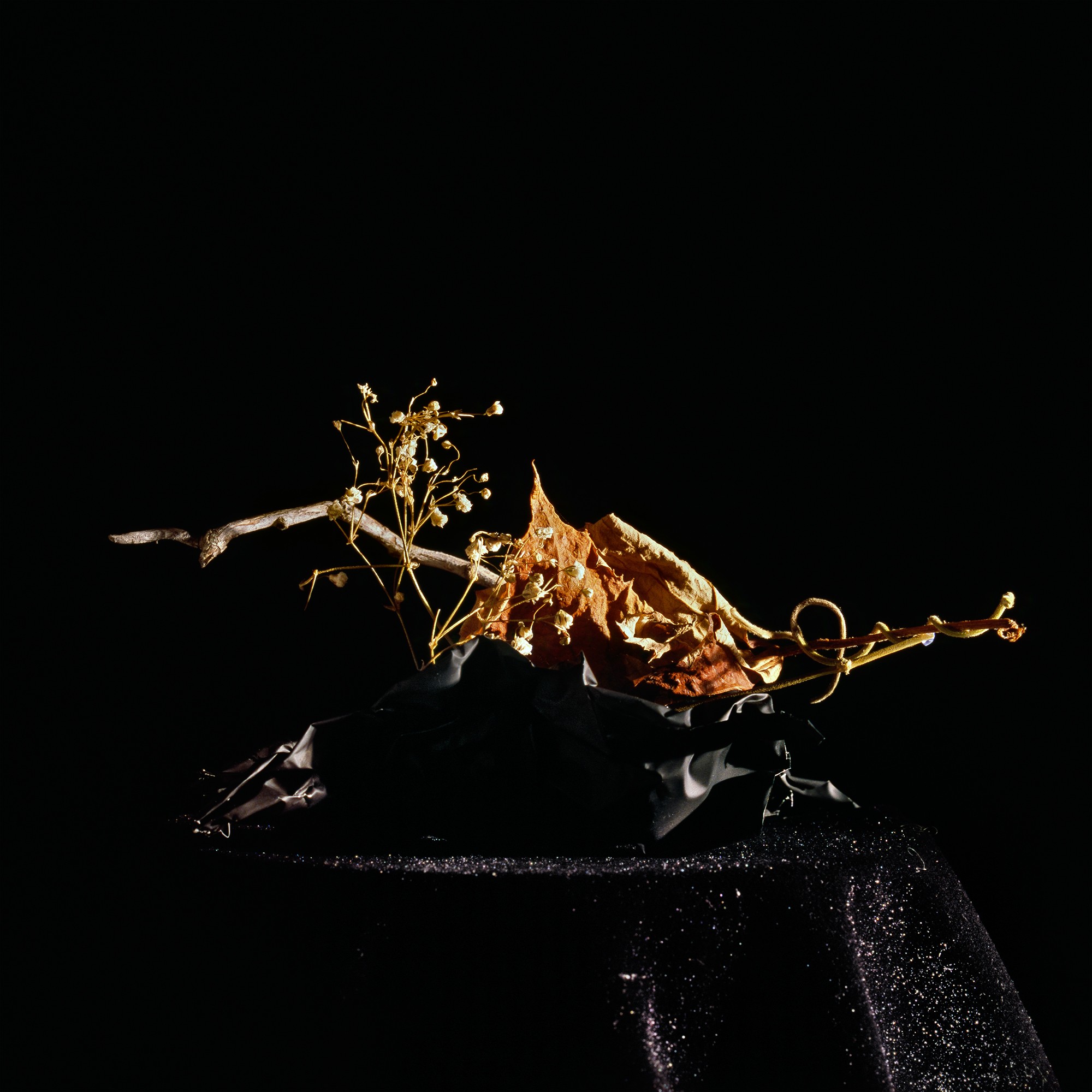 Holly King, Still life #7 Holly King, Still life #7