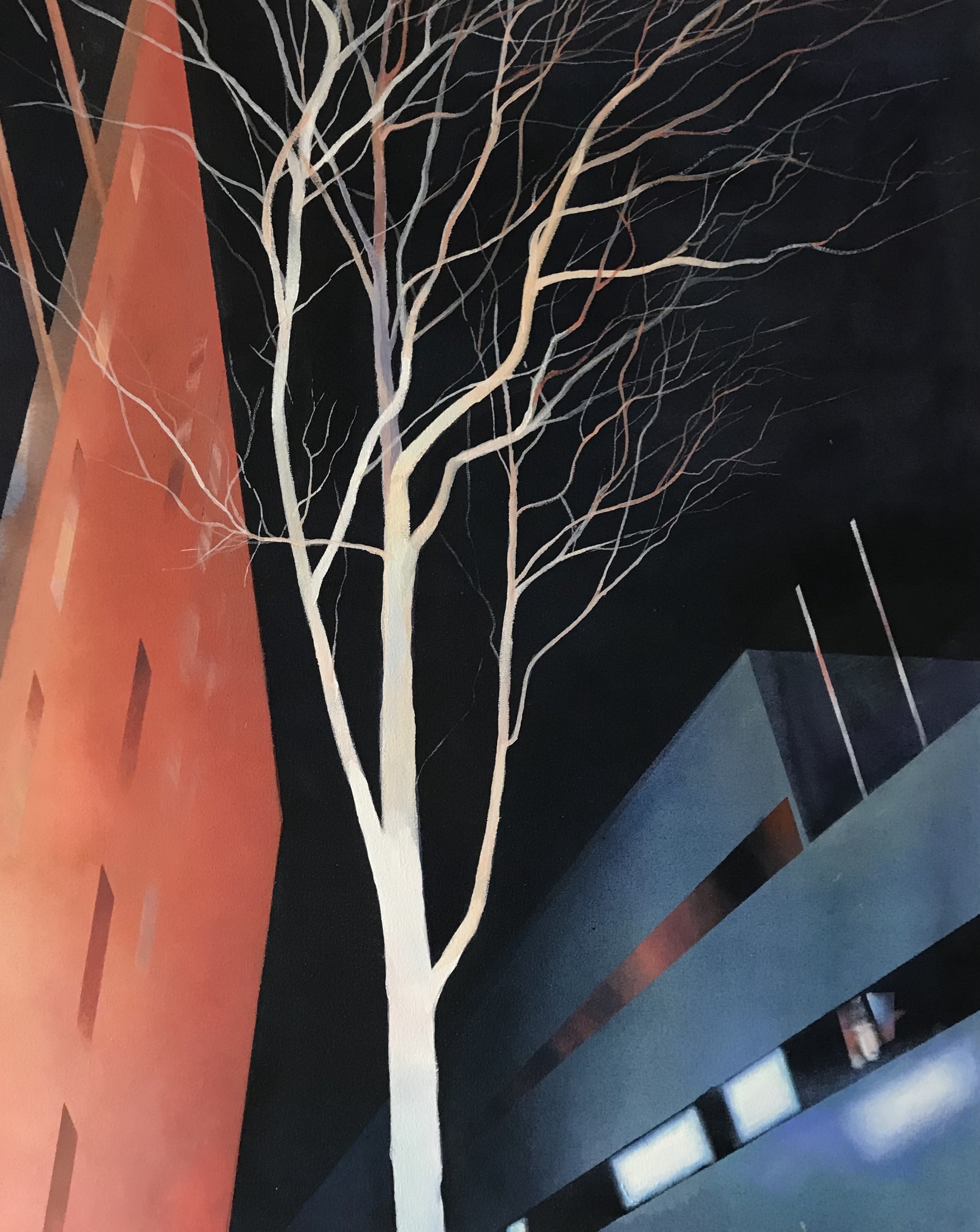 Claire Smith, White Tree Claire Smith, White Tree