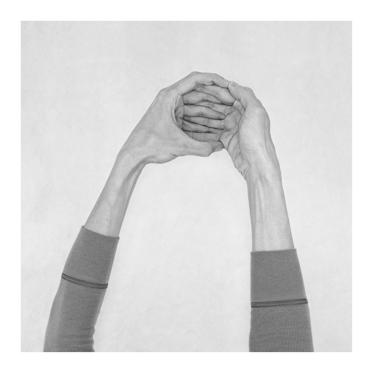 Nico Baixas / Gos-com-fuig, Untitled XXXVI. From the Series Chiromorphose Nico Baixas / Gos-com-fuig, Untitled XXXVI. From the Series Chiromorphose