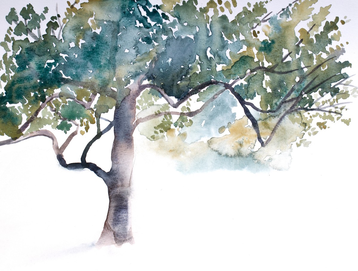 Elizabeth Becker, Tree study no. 46 Elizabeth Becker, Tree study no. 46
