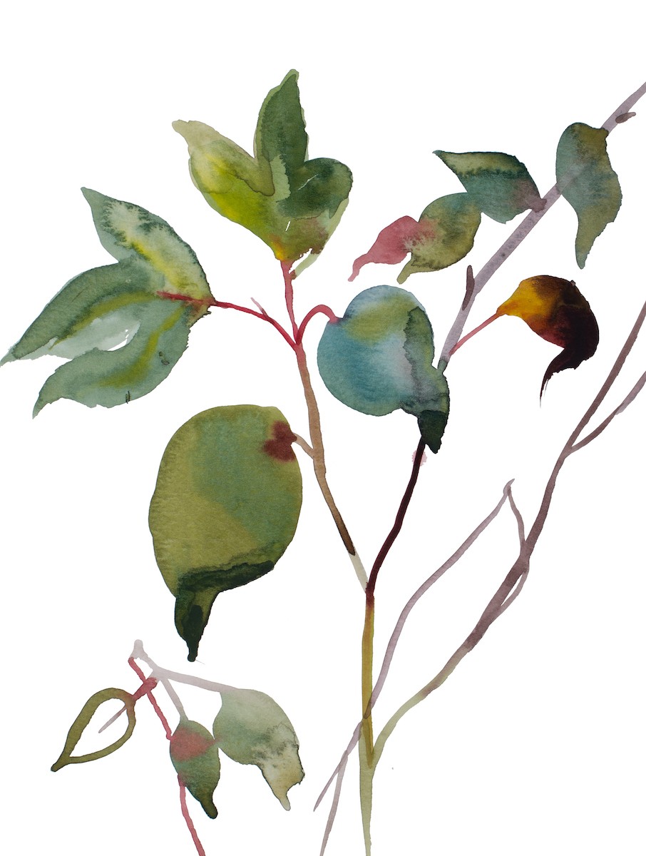Elizabeth Becker, September study no. 5 Elizabeth Becker, September study no. 5