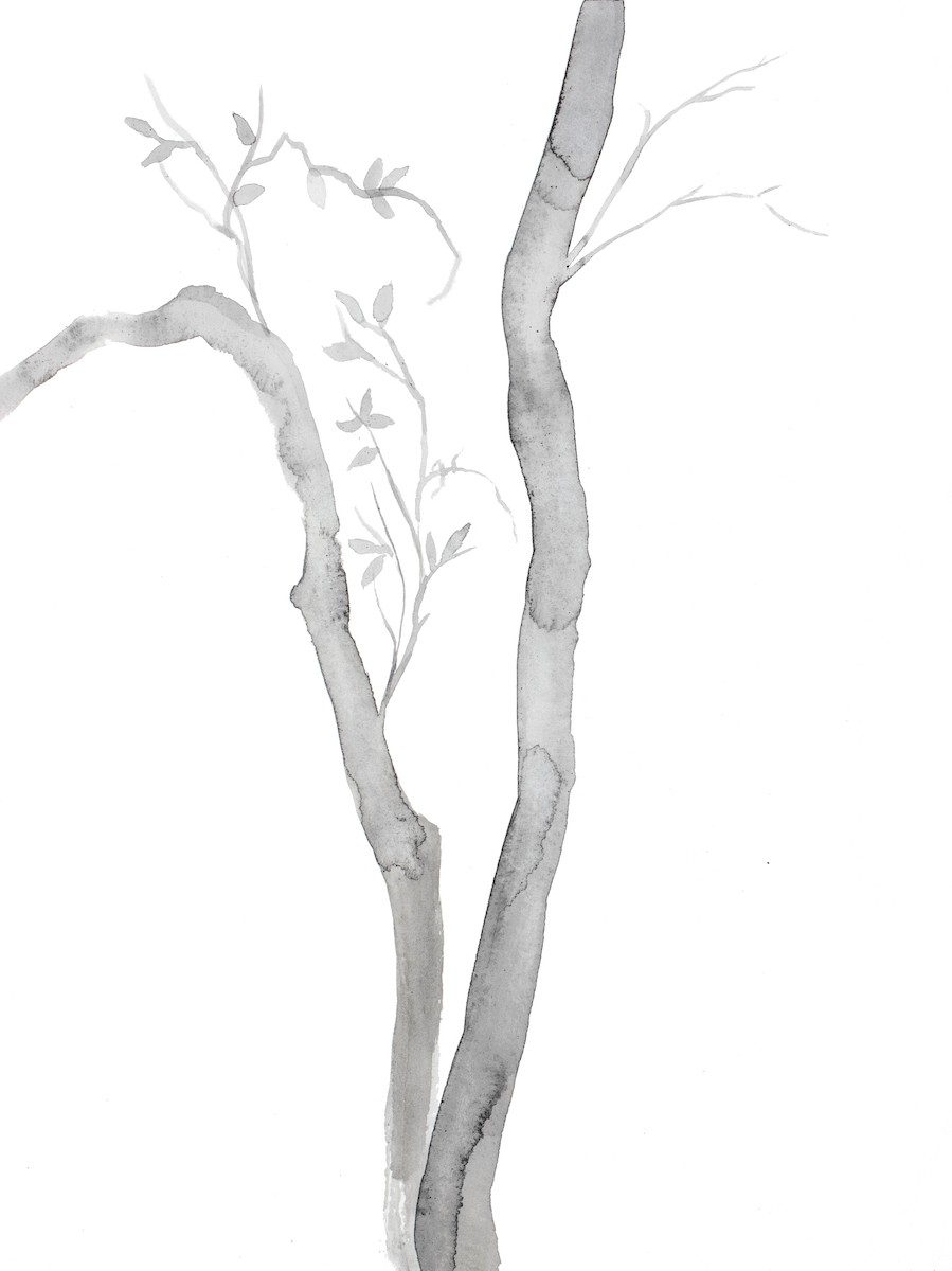 Elizabeth Becker, Tree study no. 44 Elizabeth Becker, Tree study no. 44