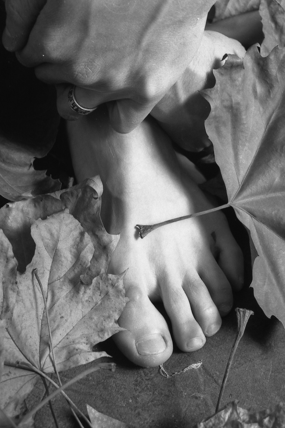 Luz, A l'automne Luz, A l'automne