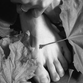Photographie, A l'automne, Luz
