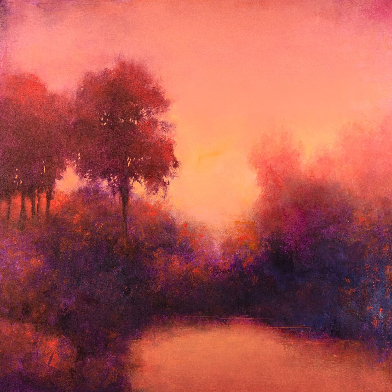 Don Bishop, Pink Sunset 221009 Don Bishop, Pink Sunset 221009